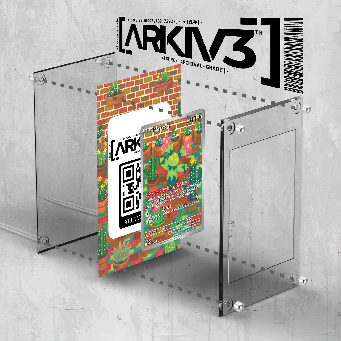 [UNIT: 160/159] // Maractus Extended Art Display Case - Raw