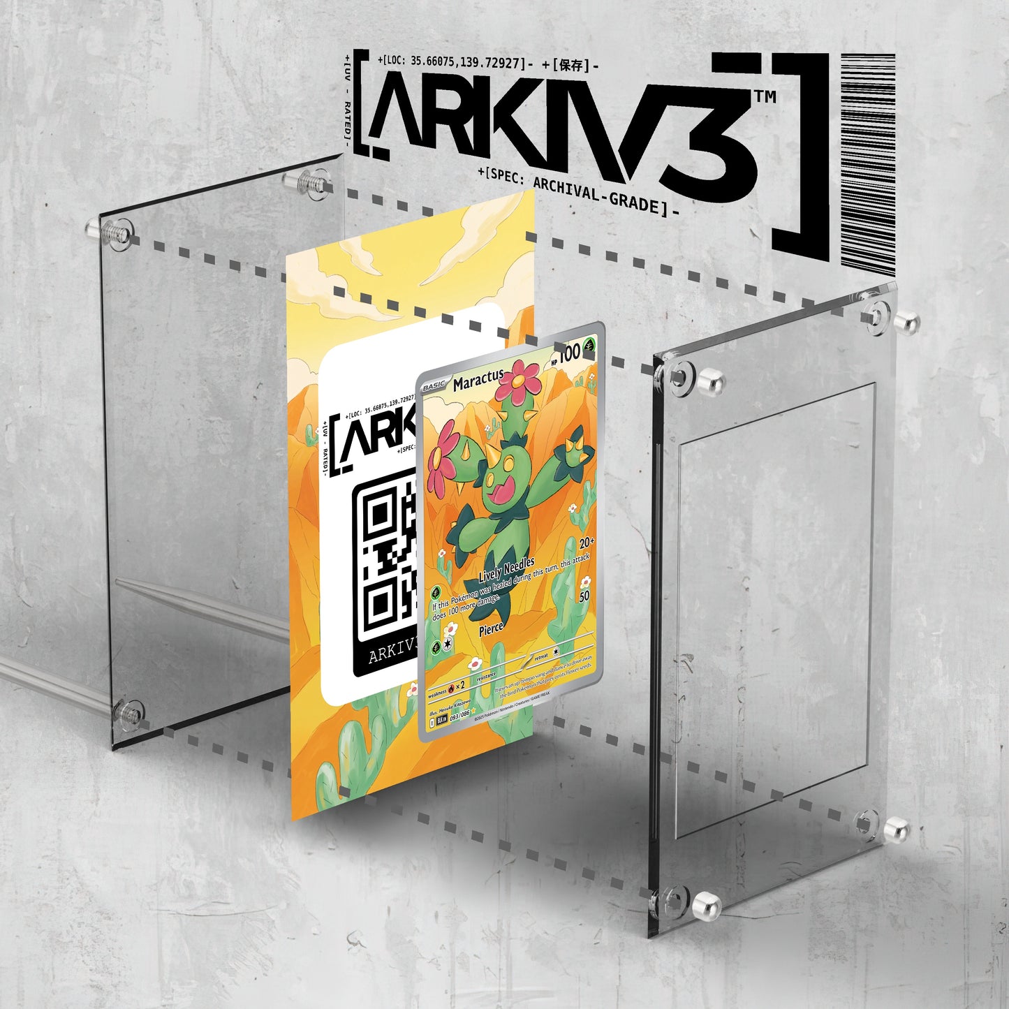 [UNIT: 93/86] // Maractus Extended Art Display Case - Raw