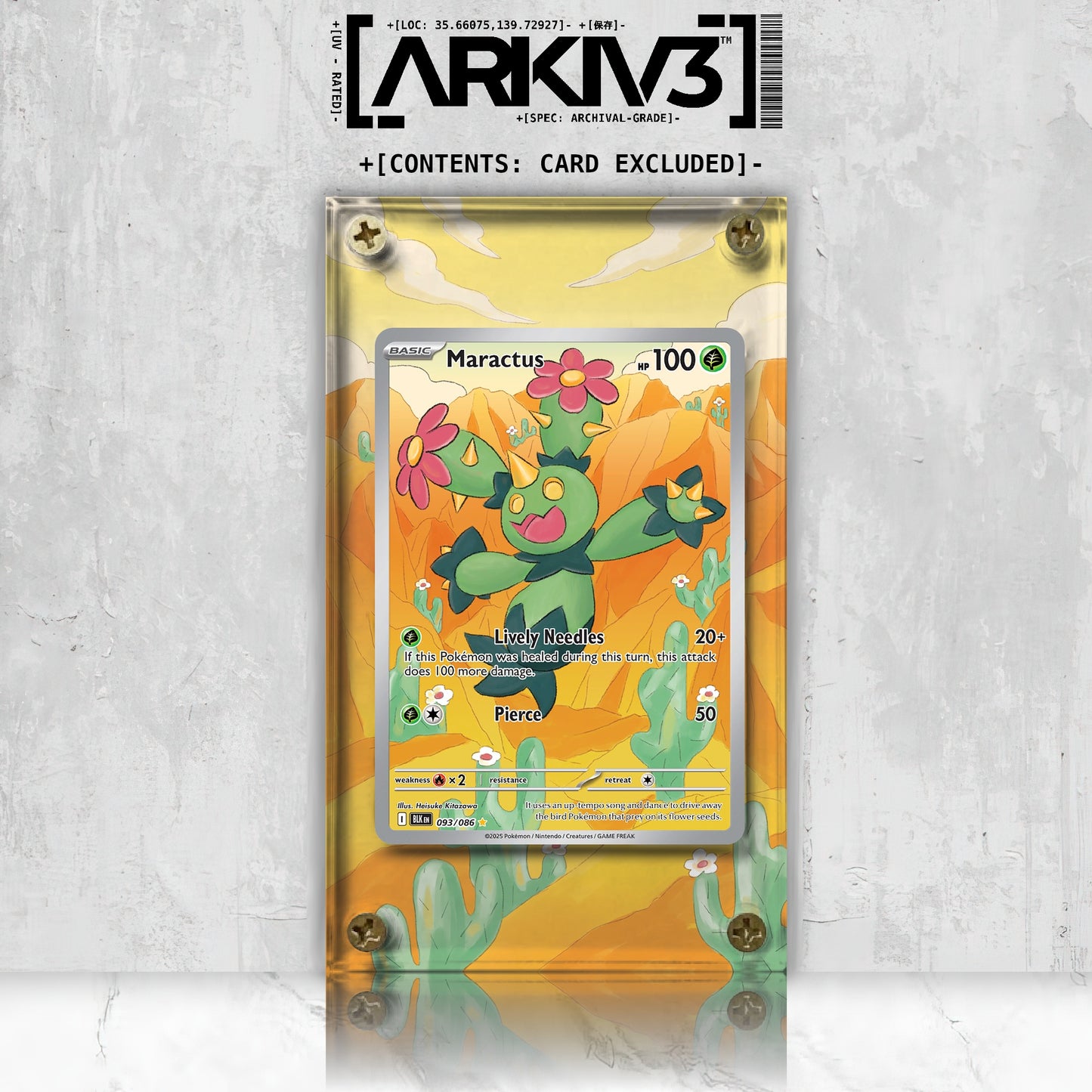 [UNIT: 93/86] // Maractus Extended Art Display Case - Raw