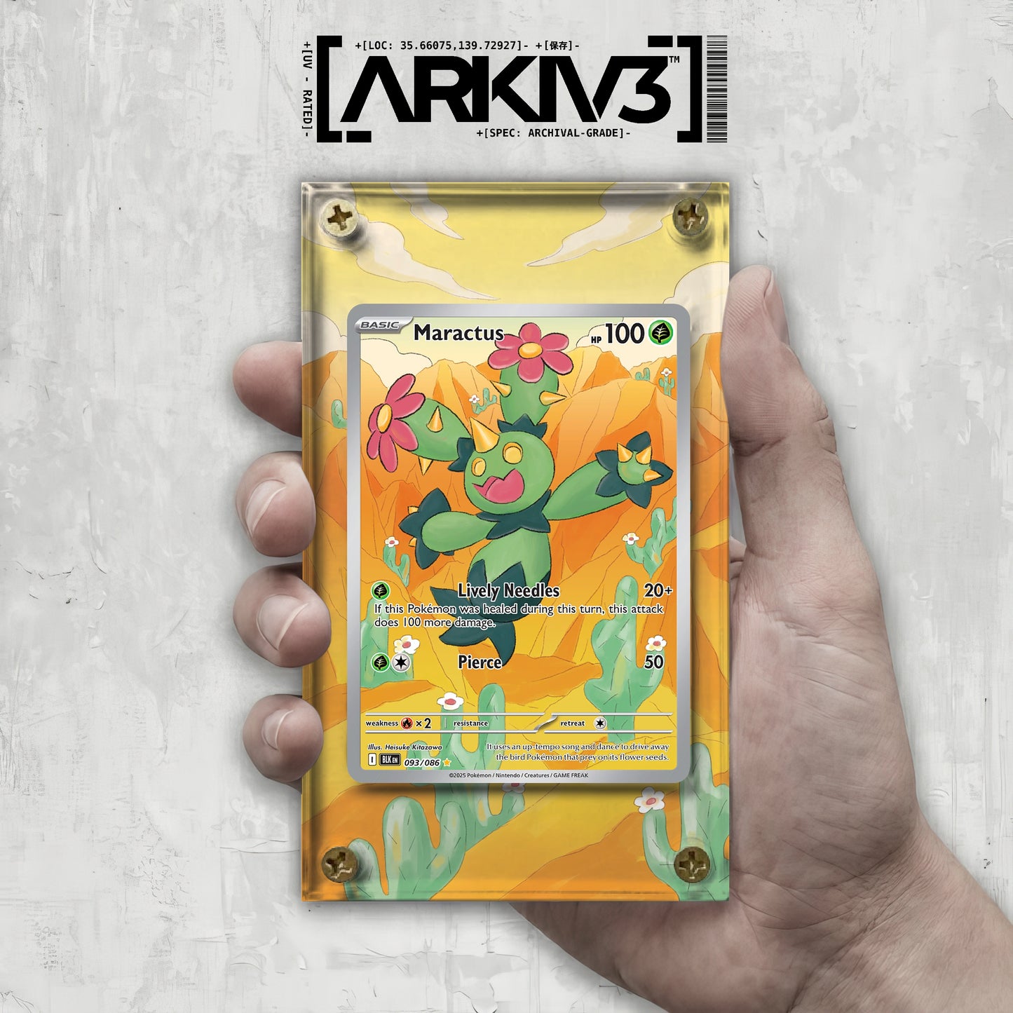 [UNIT: 93/86] // Maractus Extended Art Display Case - Raw