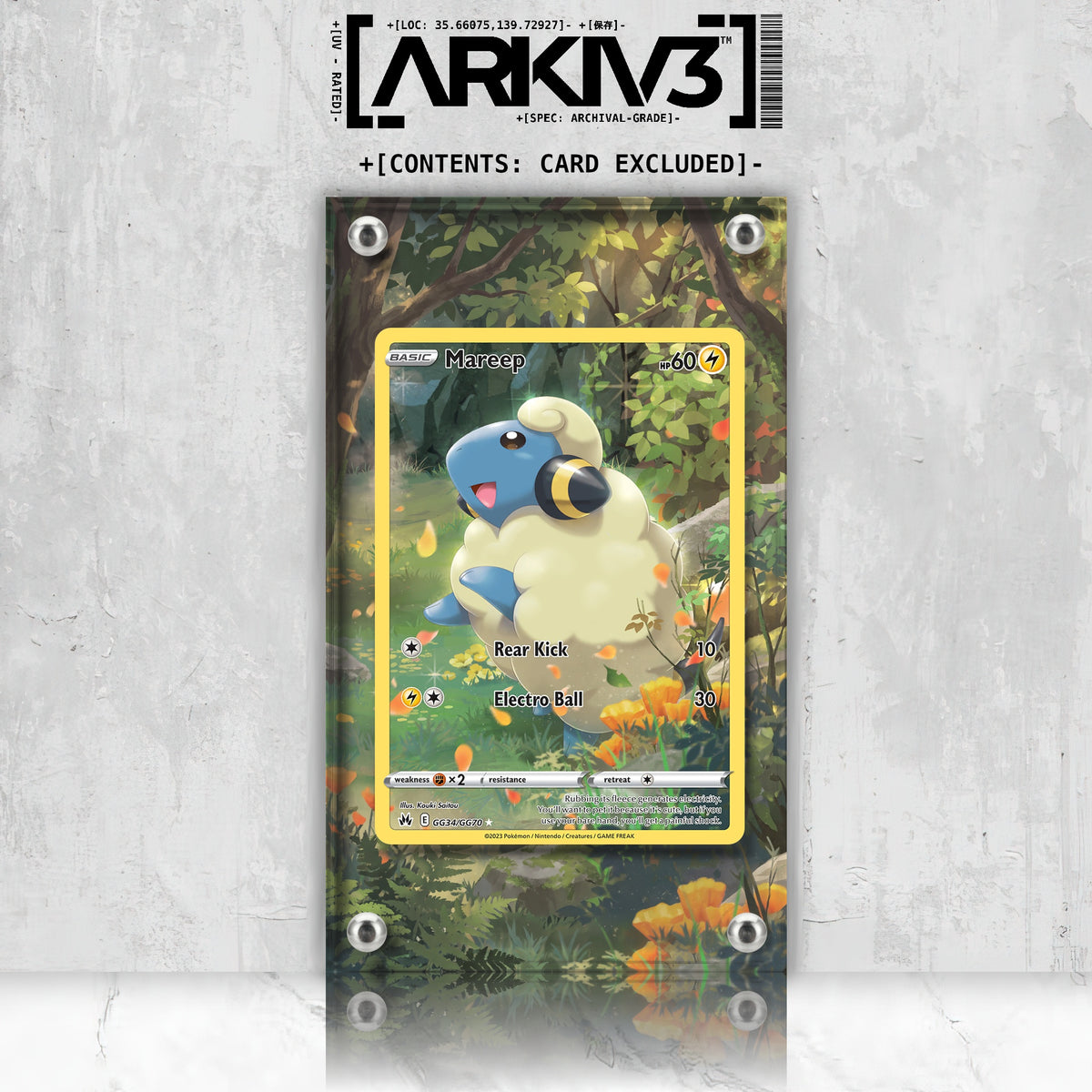 [UNIT: GG34/70] // Mareep Extended Art Display Case - Raw