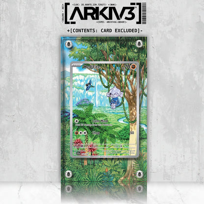 [UNIT: 153/142] // Meditite Extended Art Display Case - Raw