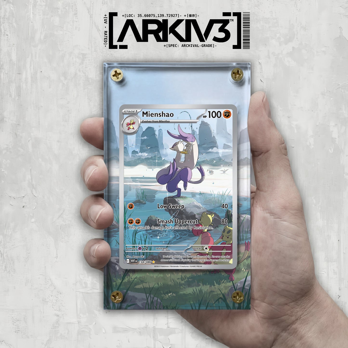 [UNIT: 134/86] // Mienshao Extended Art Display Case - Raw