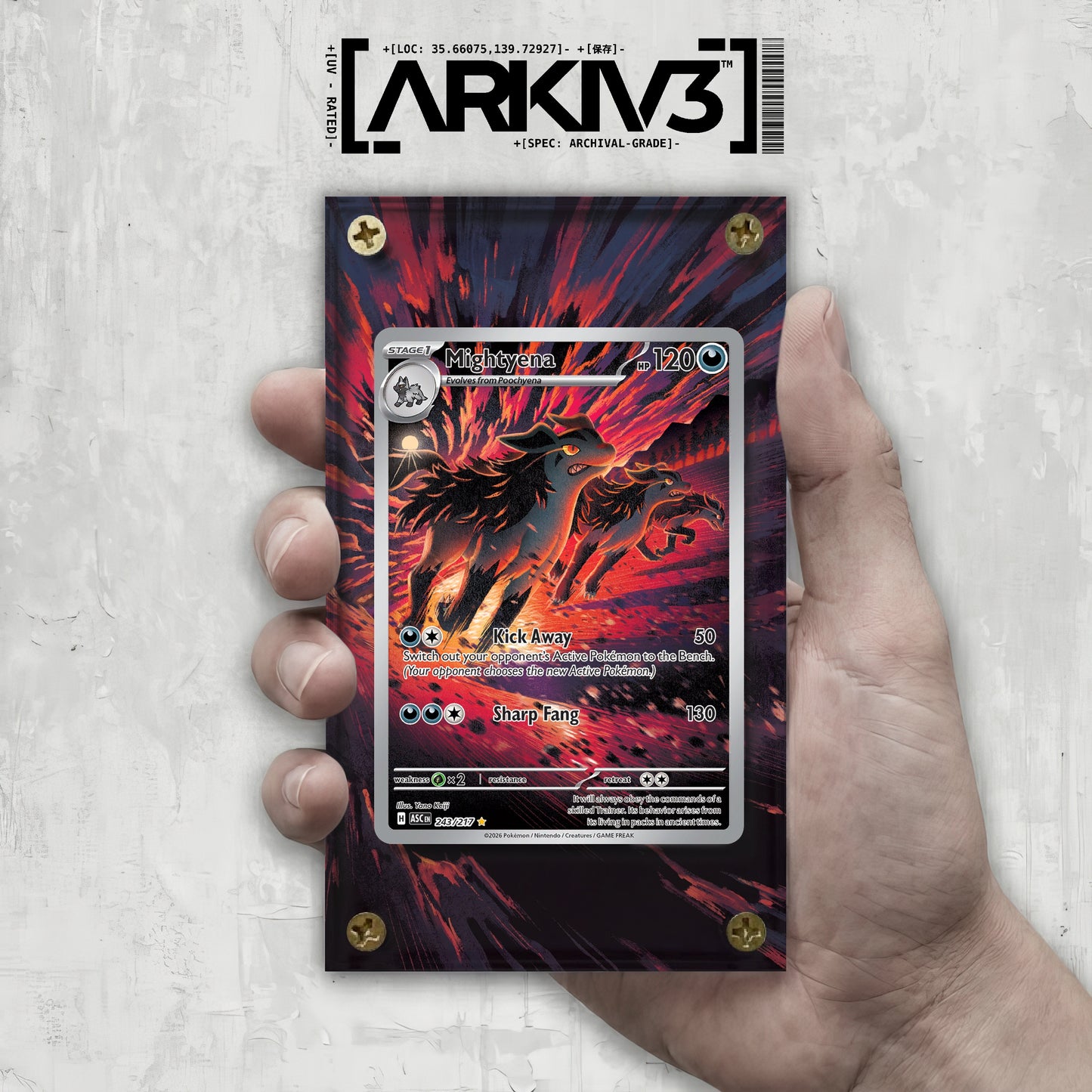 [UNIT: 243/217] // Mightyena Extended Art Display Case - Raw
