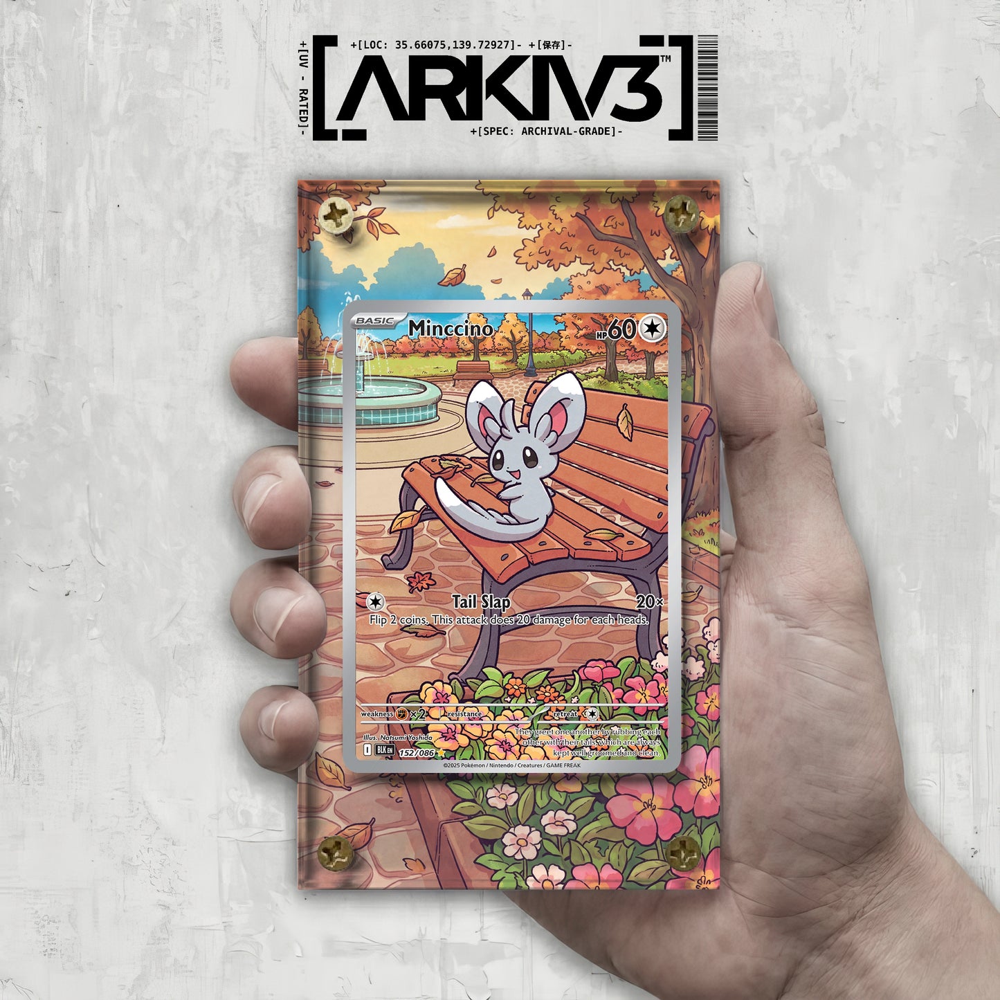 [UNIT: 152/86] // Minccino Extended Art Display Case - Raw