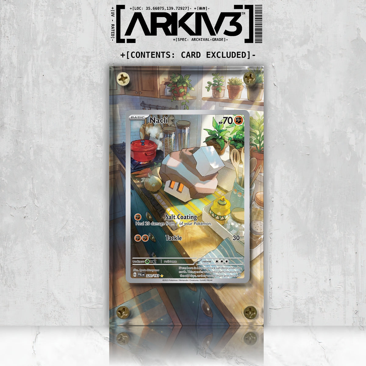 [UNIT: 220/193] // Nacli Extended Art Display Case - Raw