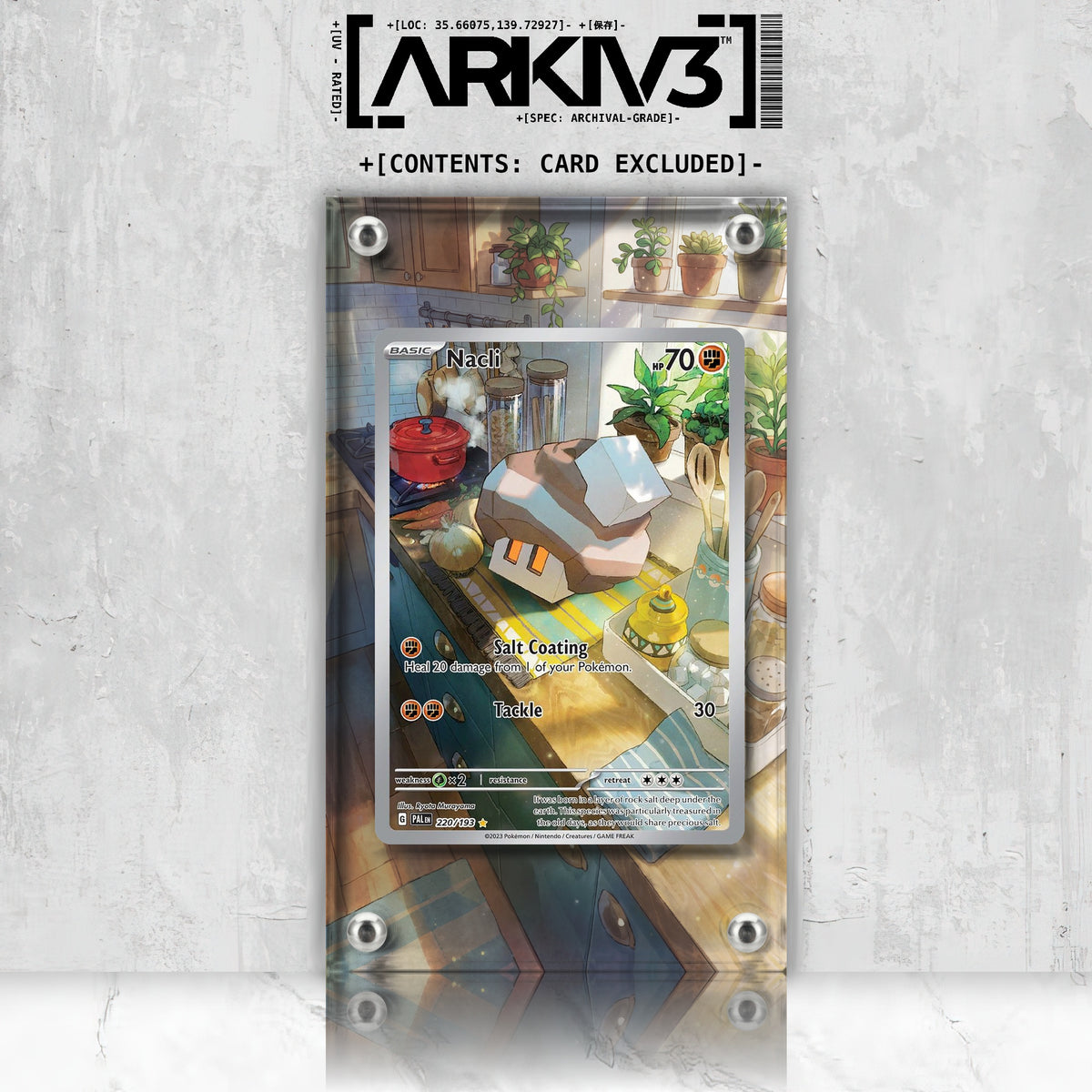 [UNIT: 220/193] // Nacli Extended Art Display Case - Raw