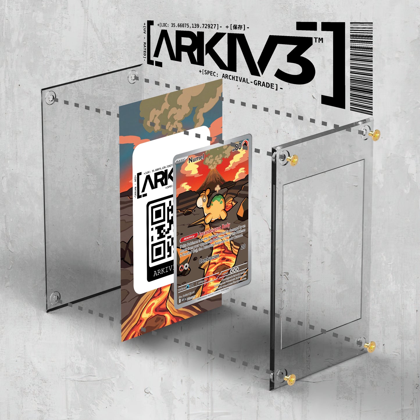 [UNIT: 223/217] // Numel Extended Art Display Case - Raw
