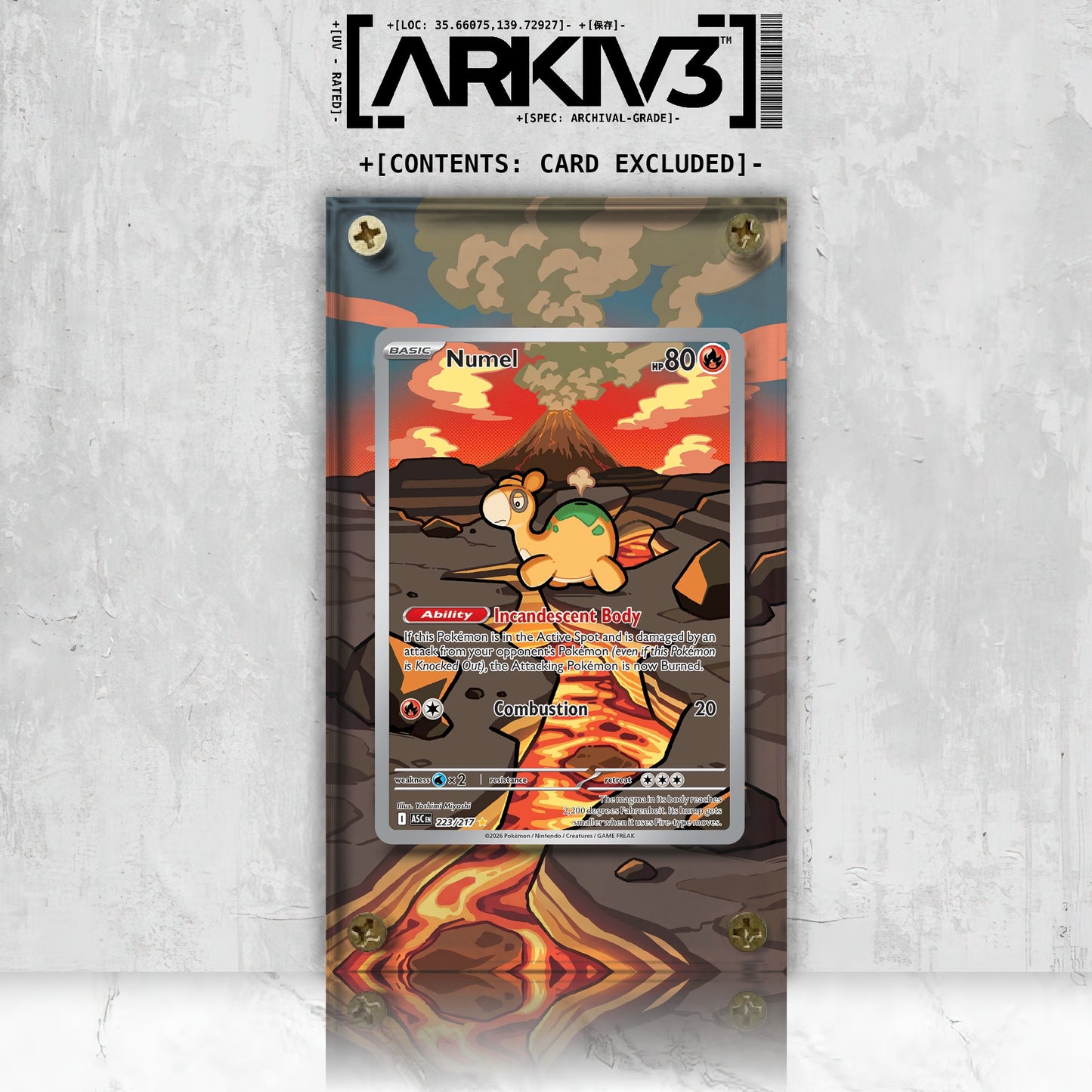[UNIT: 223/217] // Numel Extended Art Display Case - Raw
