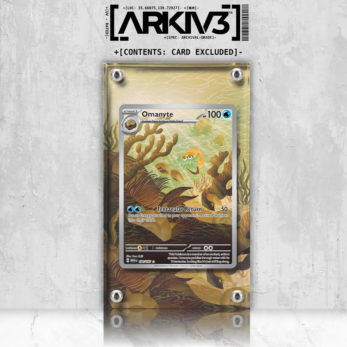 [UNIT: 180/165] // Omanyte Extended Art Display Case - Raw