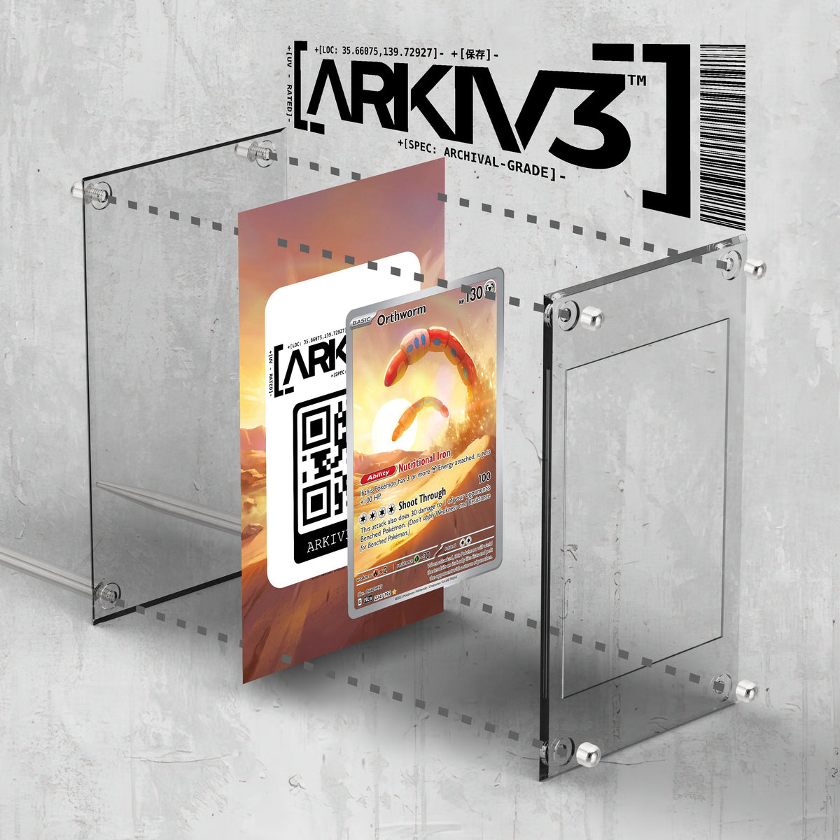 [UNIT: 224/193] // Orthworm Extended Art Display Case - Raw