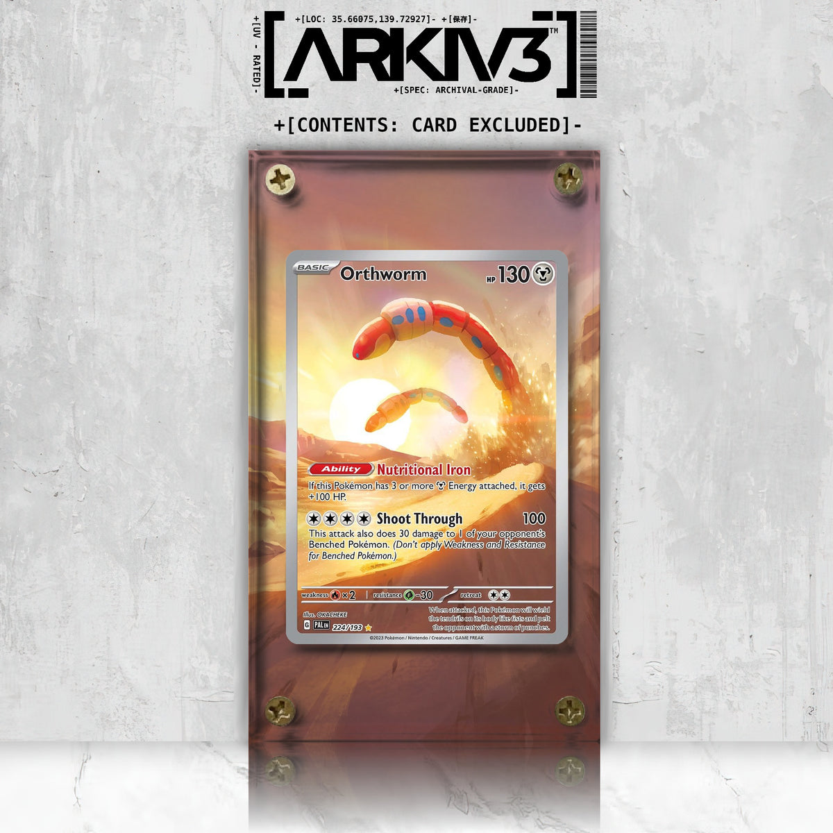 [UNIT: 224/193] // Orthworm Extended Art Display Case - Raw
