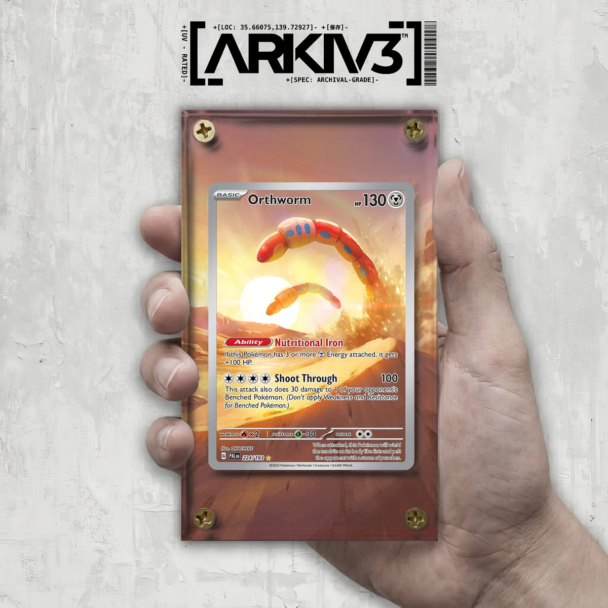 [UNIT: 224/193] // Orthworm Extended Art Display Case - Raw
