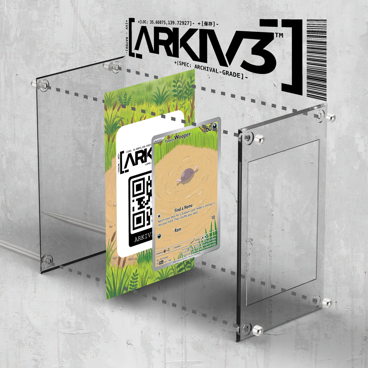 [UNIT: 221/193] // Paldean Wooper Extended Art Display Case - Raw