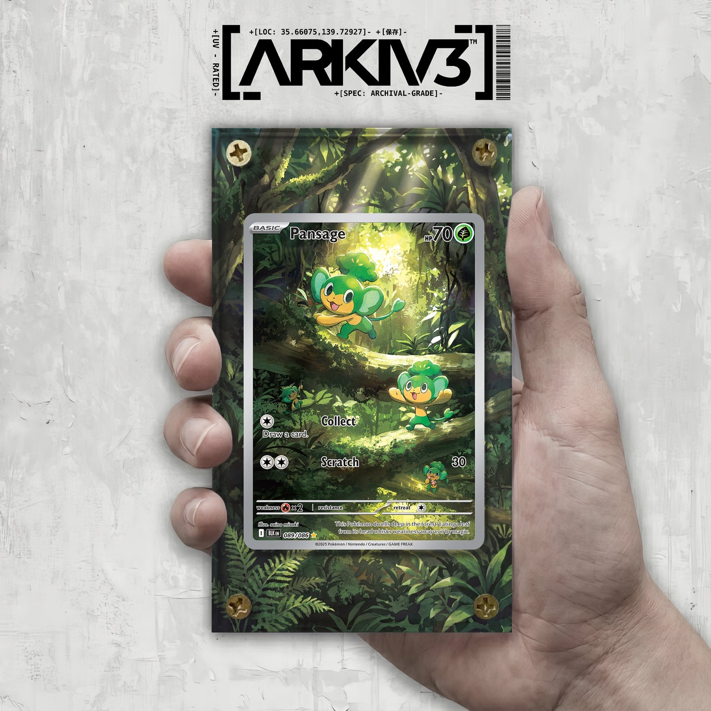 [UNIT: 89/86] // Pansage Extended Art Display Case - Raw