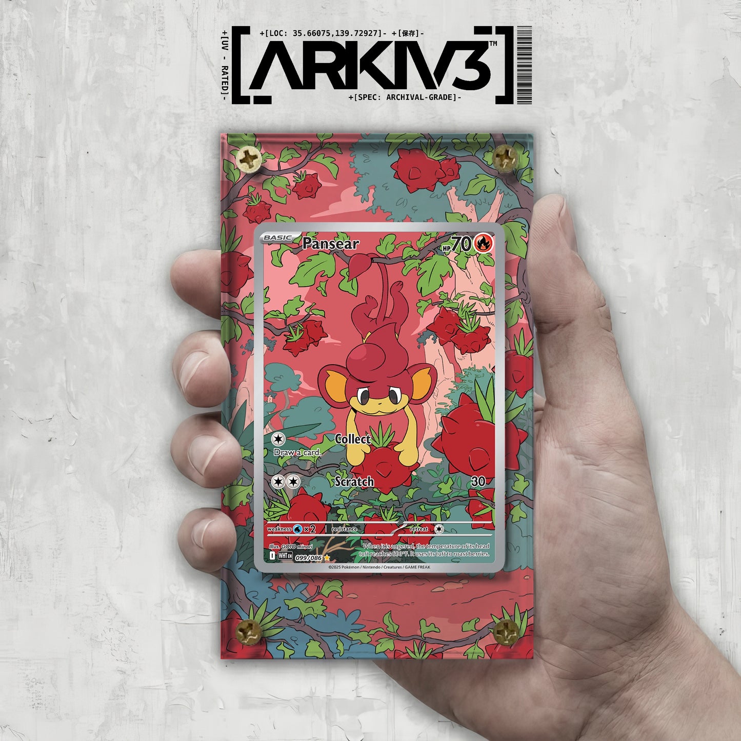 [UNIT: 99/86] // Pansear Extended Art Display Case - Raw