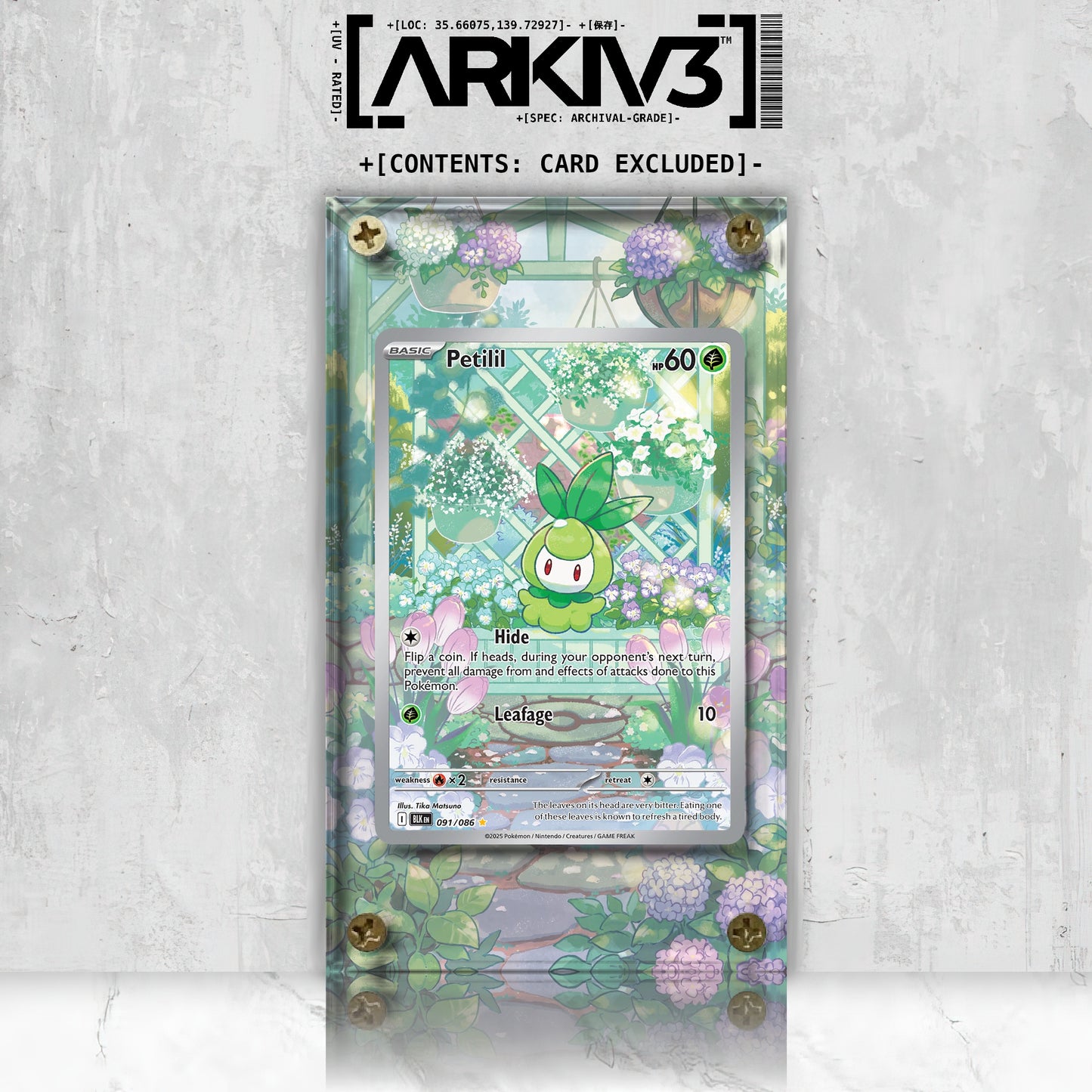 [UNIT: 91/86] // Petilil Extended Art Display Case - Raw