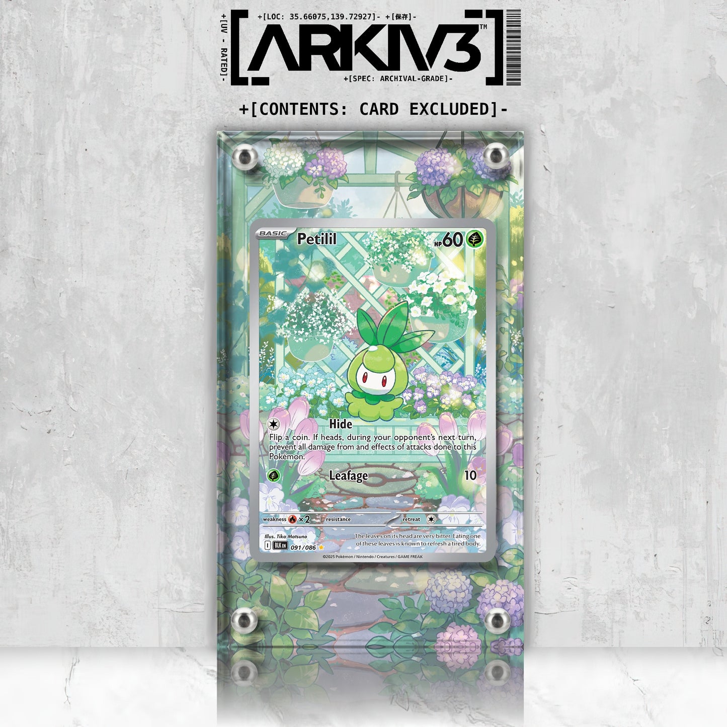 [UNIT: 91/86] // Petilil Extended Art Display Case - Raw