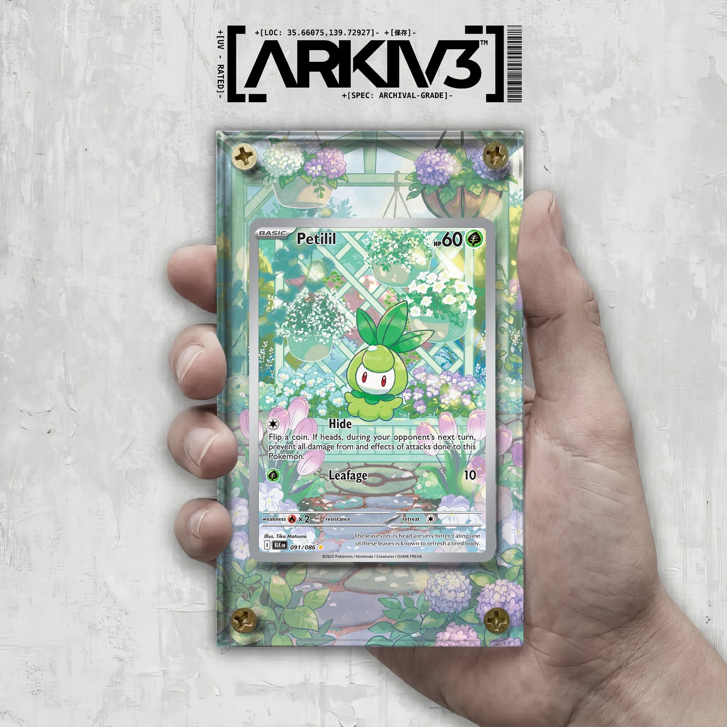 [UNIT: 91/86] // Petilil Extended Art Display Case - Raw
