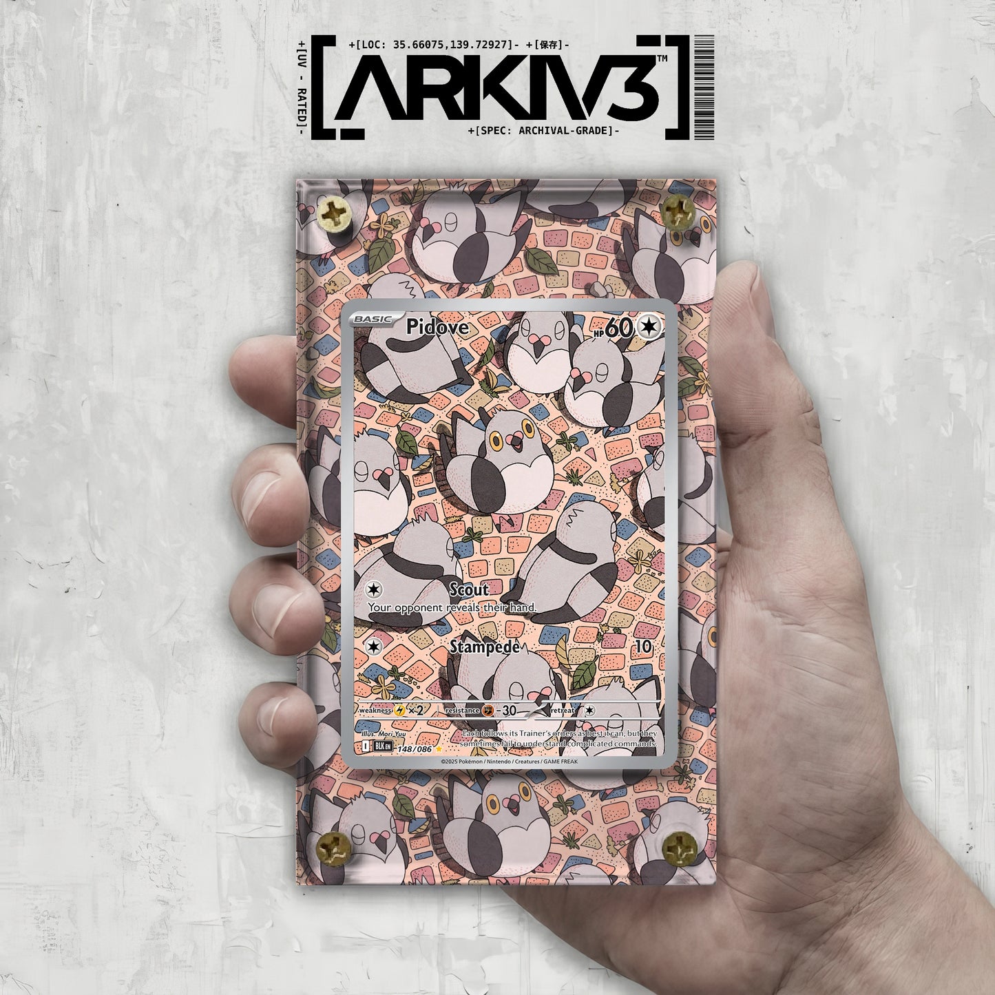 [UNIT: 148/86] // Pidove Extended Art Display Case - Raw