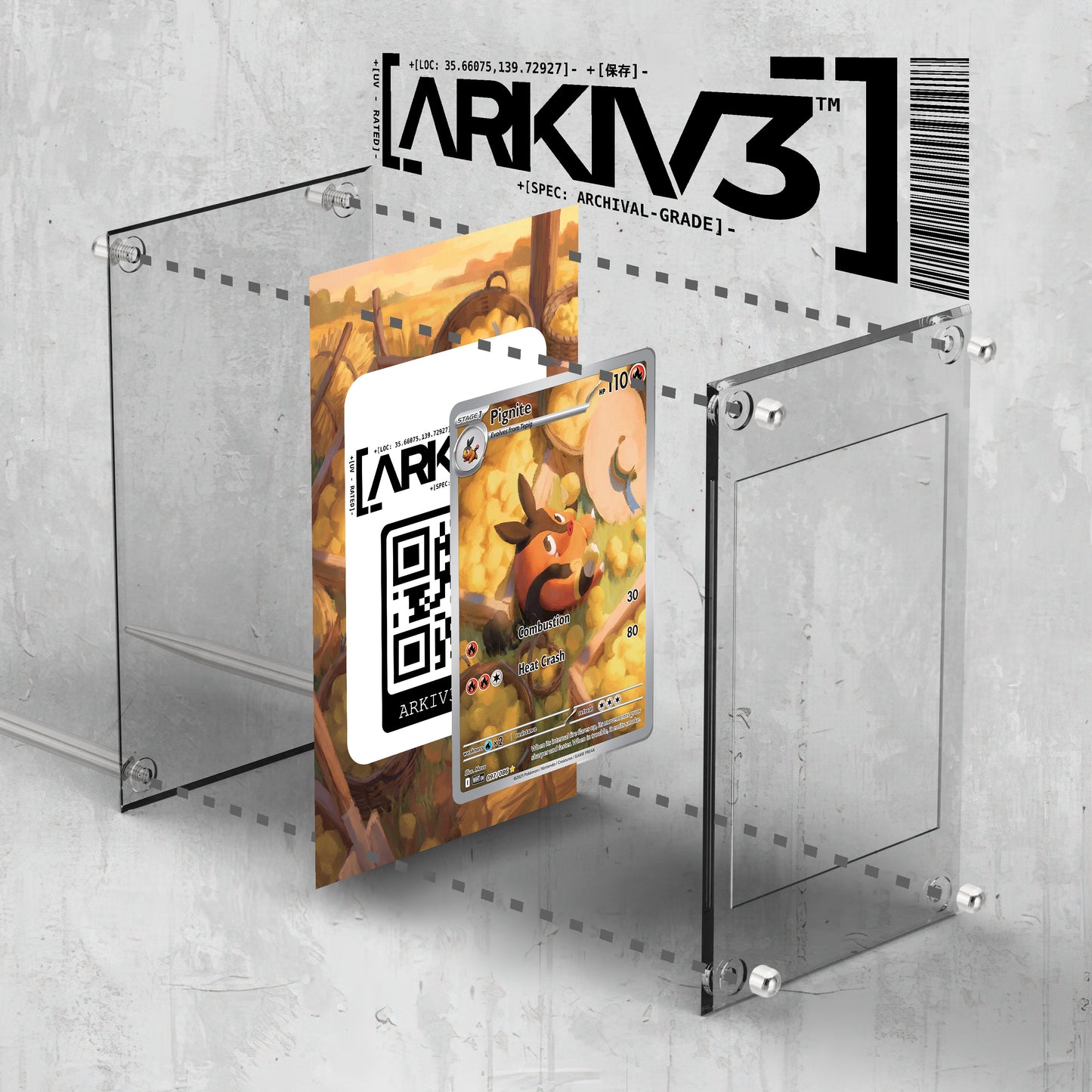 [UNIT: 97/86] // Pignite Extended Art Display Case - Raw