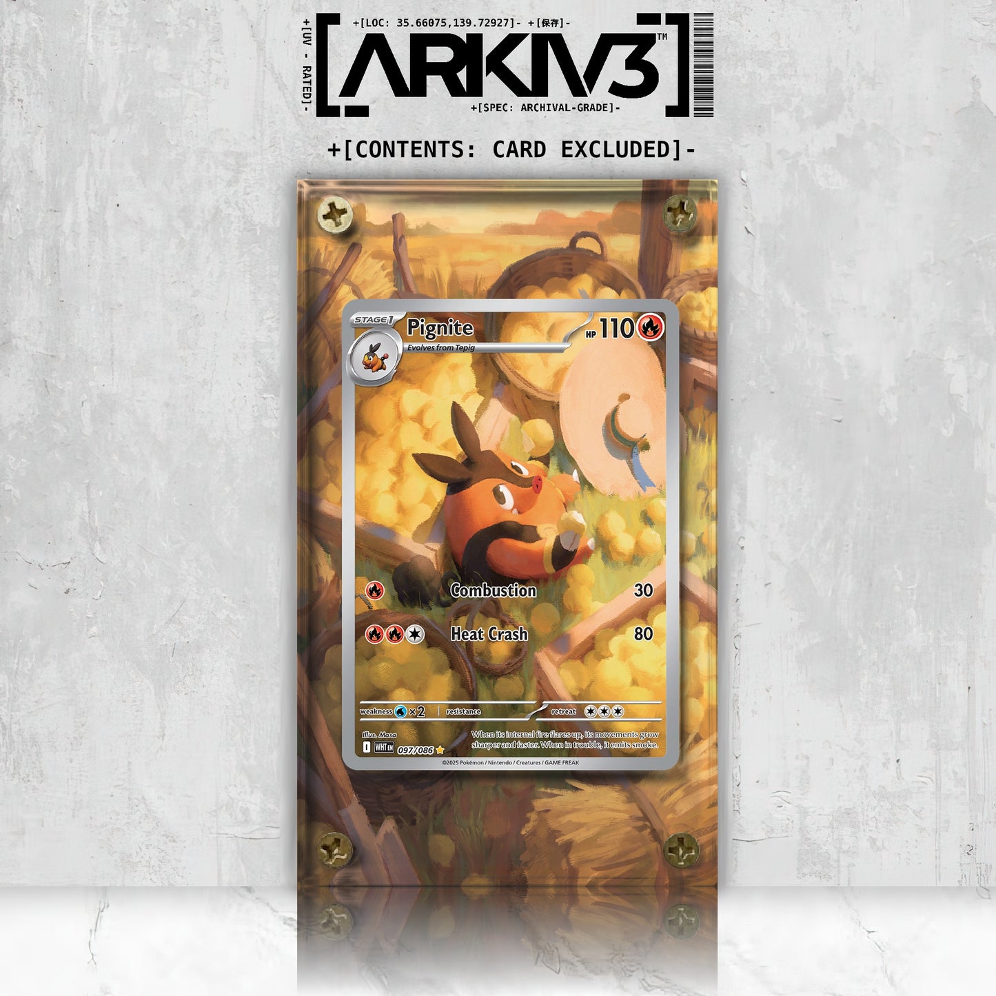 [UNIT: 97/86] // Pignite Extended Art Display Case - Raw