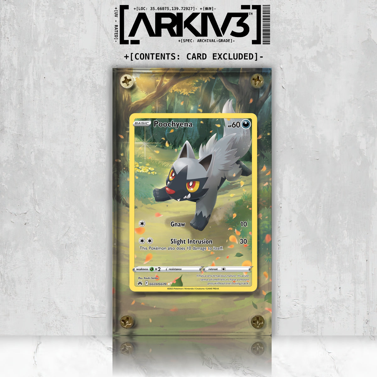 [UNIT: GG33/70] // Poochyena Extended Art Display Case - Raw
