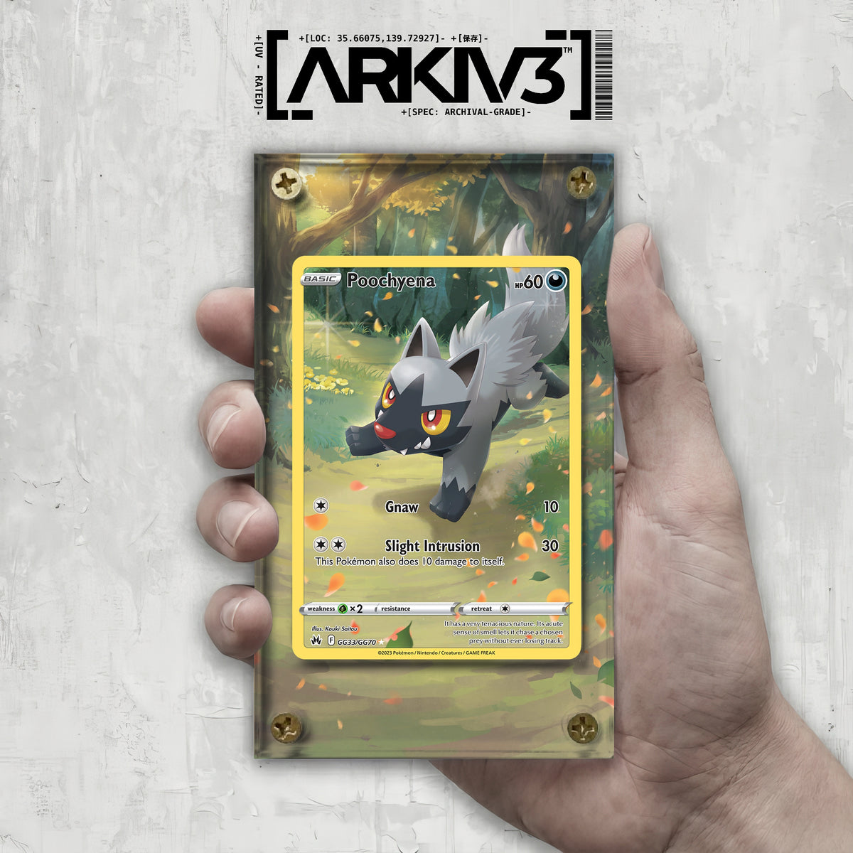 [UNIT: GG33/70] // Poochyena Extended Art Display Case - Raw