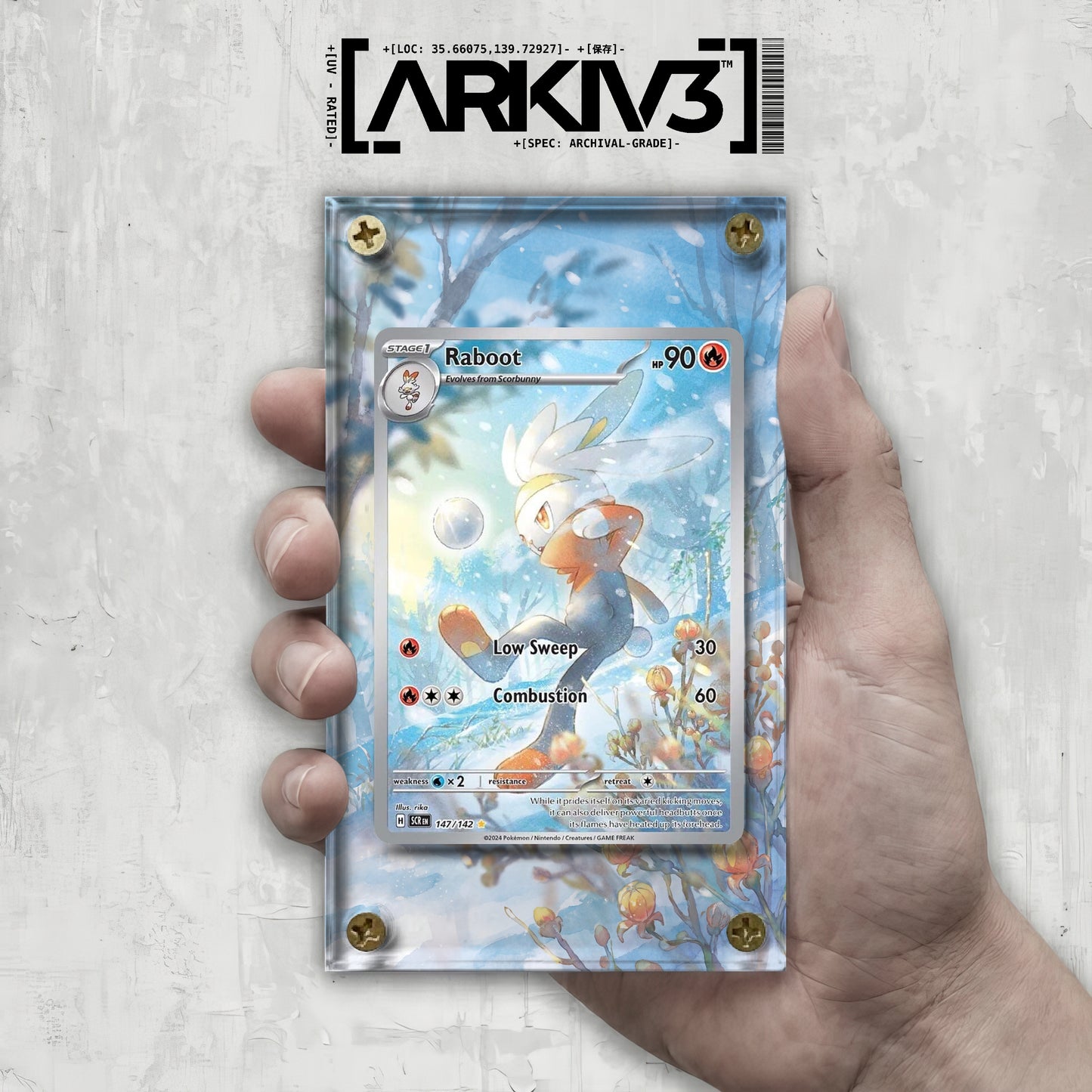 [UNIT: 147/142] // Raboot Extended Art Display Case - Raw