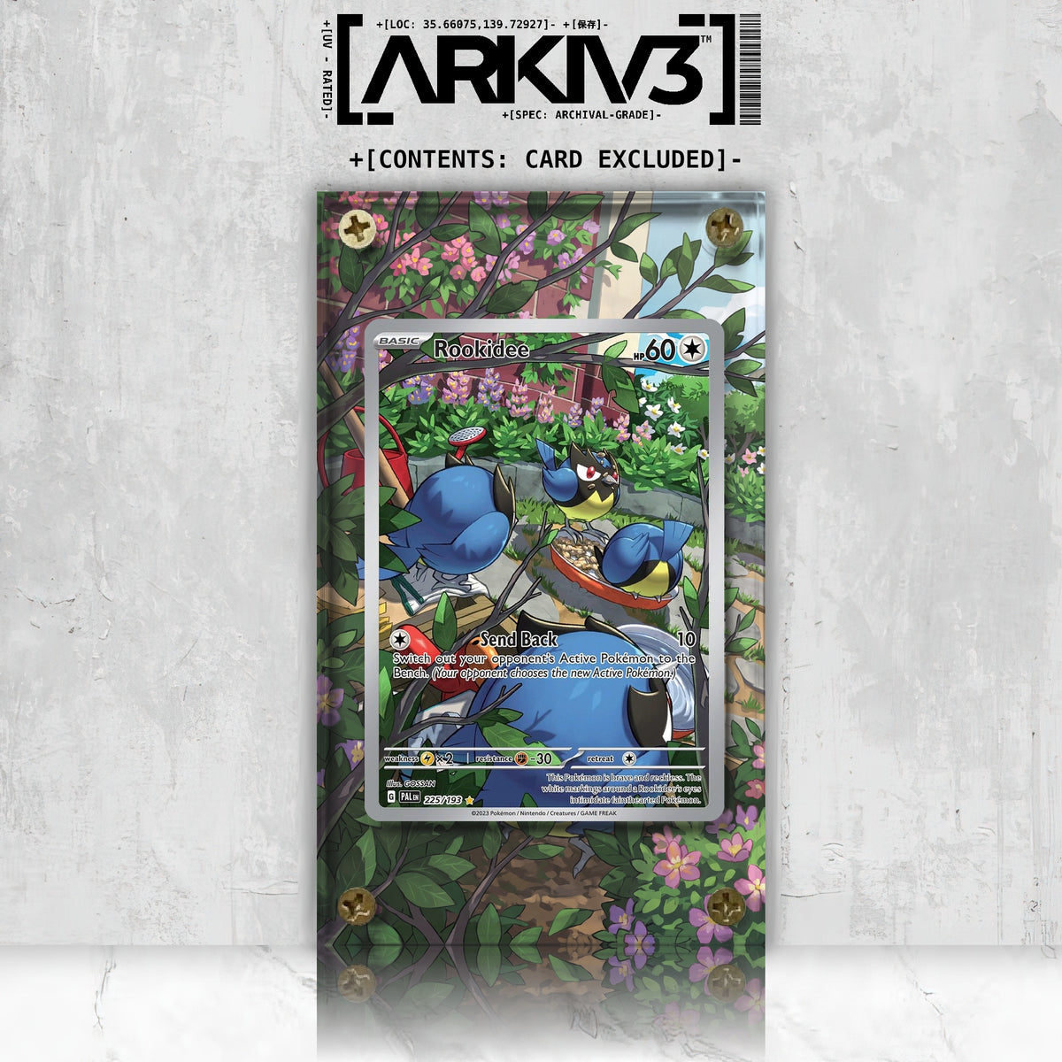 [UNIT: 225/193] // Rookidee Extended Art Display Case - Raw