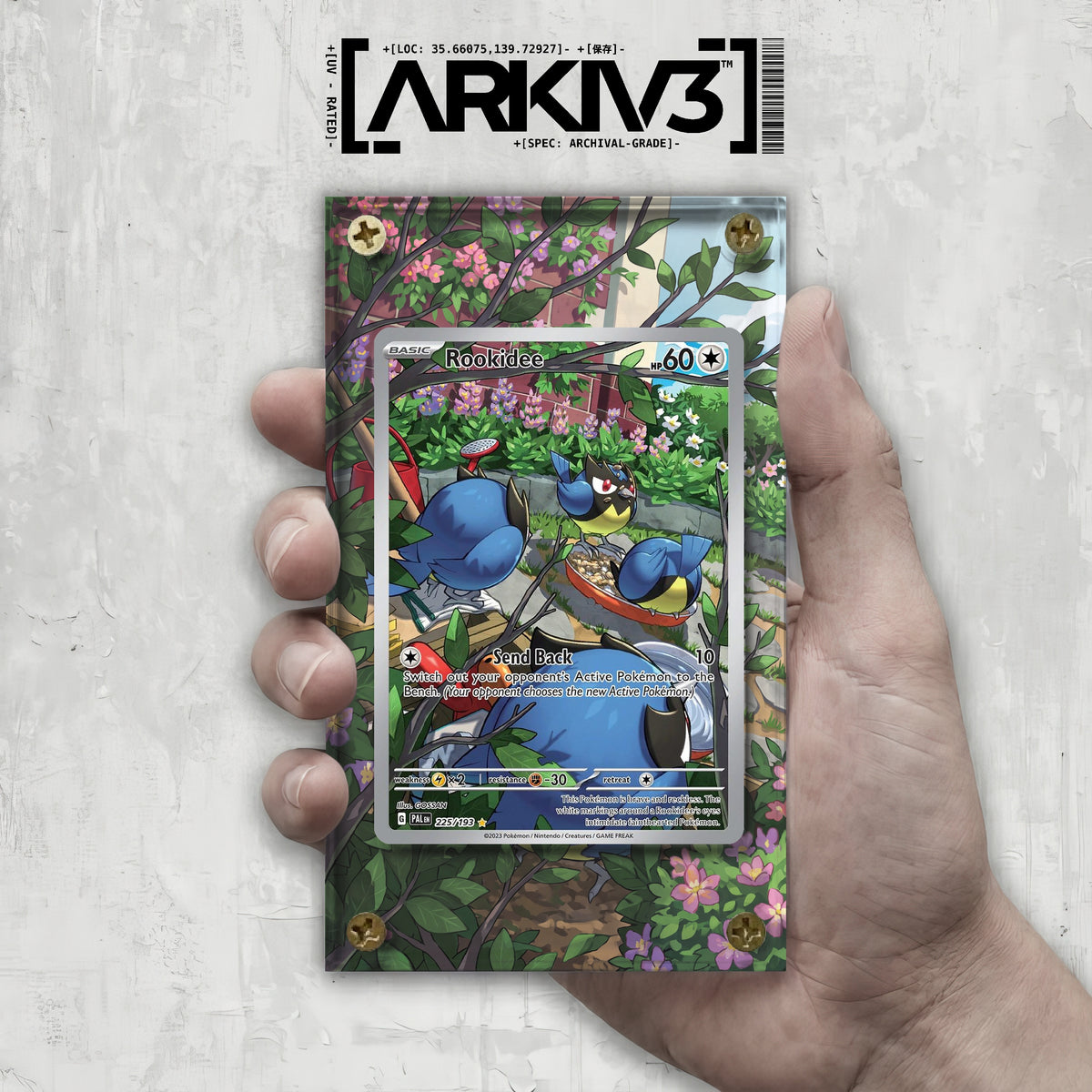 [UNIT: 225/193] // Rookidee Extended Art Display Case - Raw