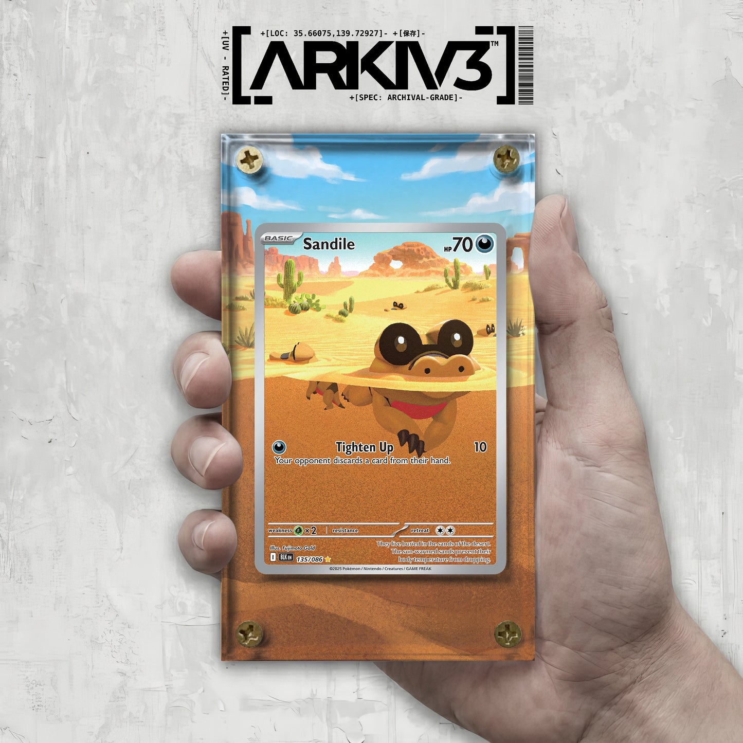 [UNIT: 135/86] // Sandile Extended Art Display Case - Raw