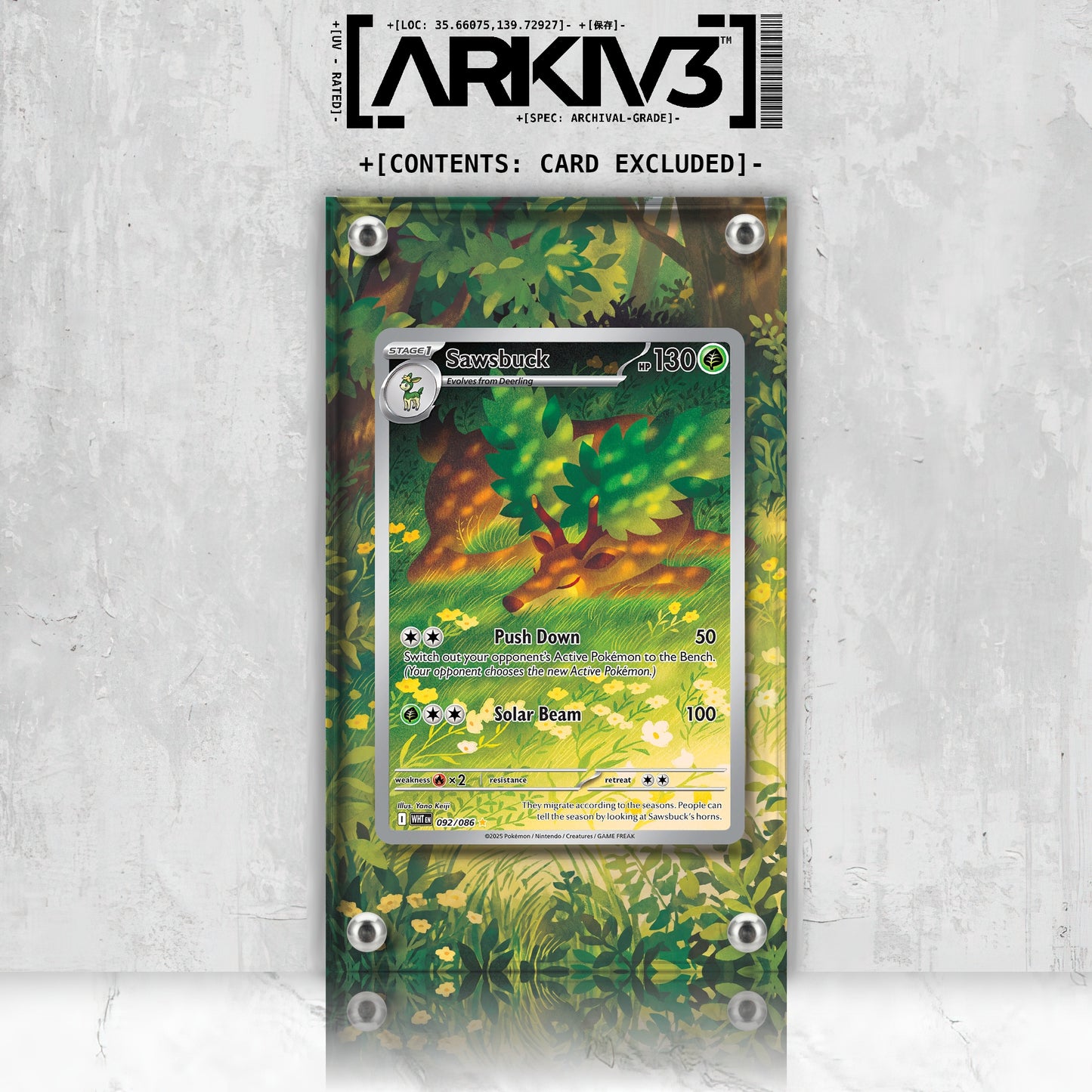 [UNIT: 92/86] // Sawsbuck Extended Art Display Case - Raw