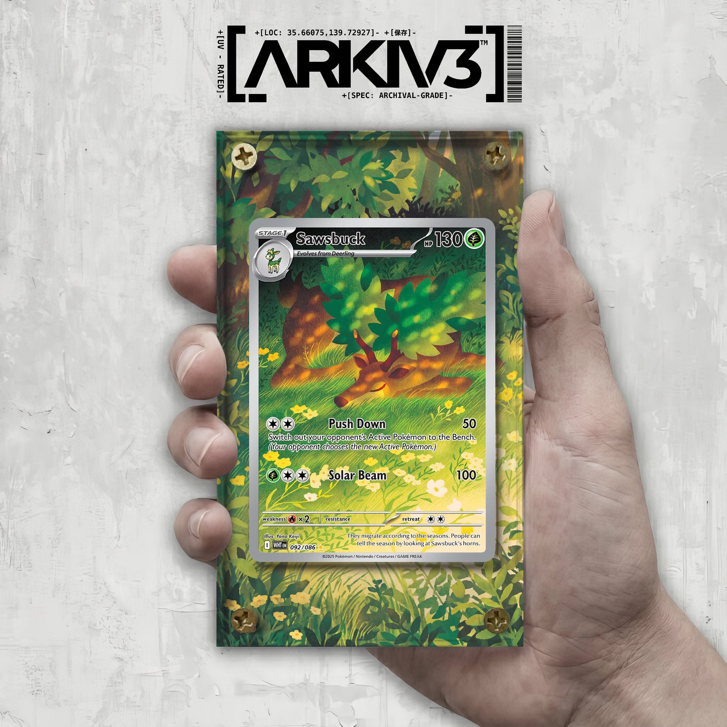 [UNIT: 92/86] // Sawsbuck Extended Art Display Case - Raw
