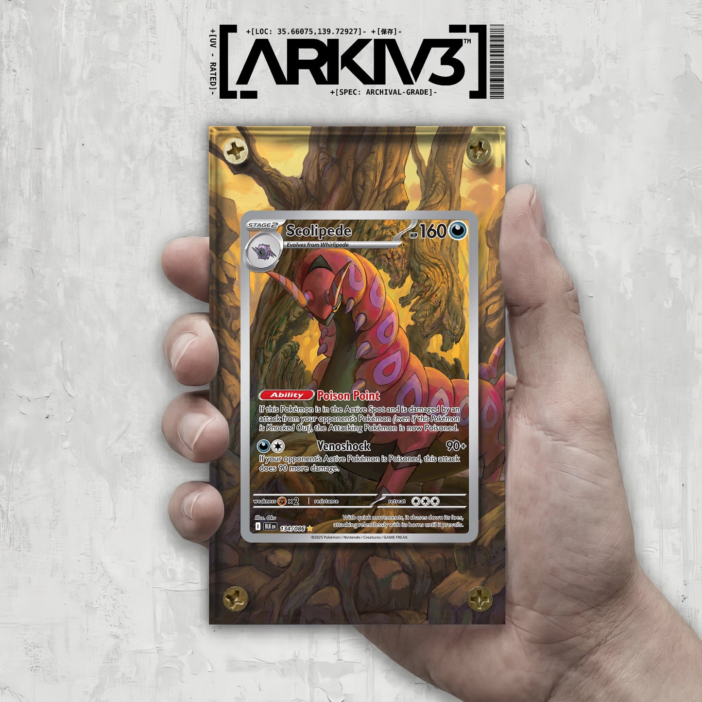 [UNIT: 134/86] // Scolipede Extended Art Display Case - Raw