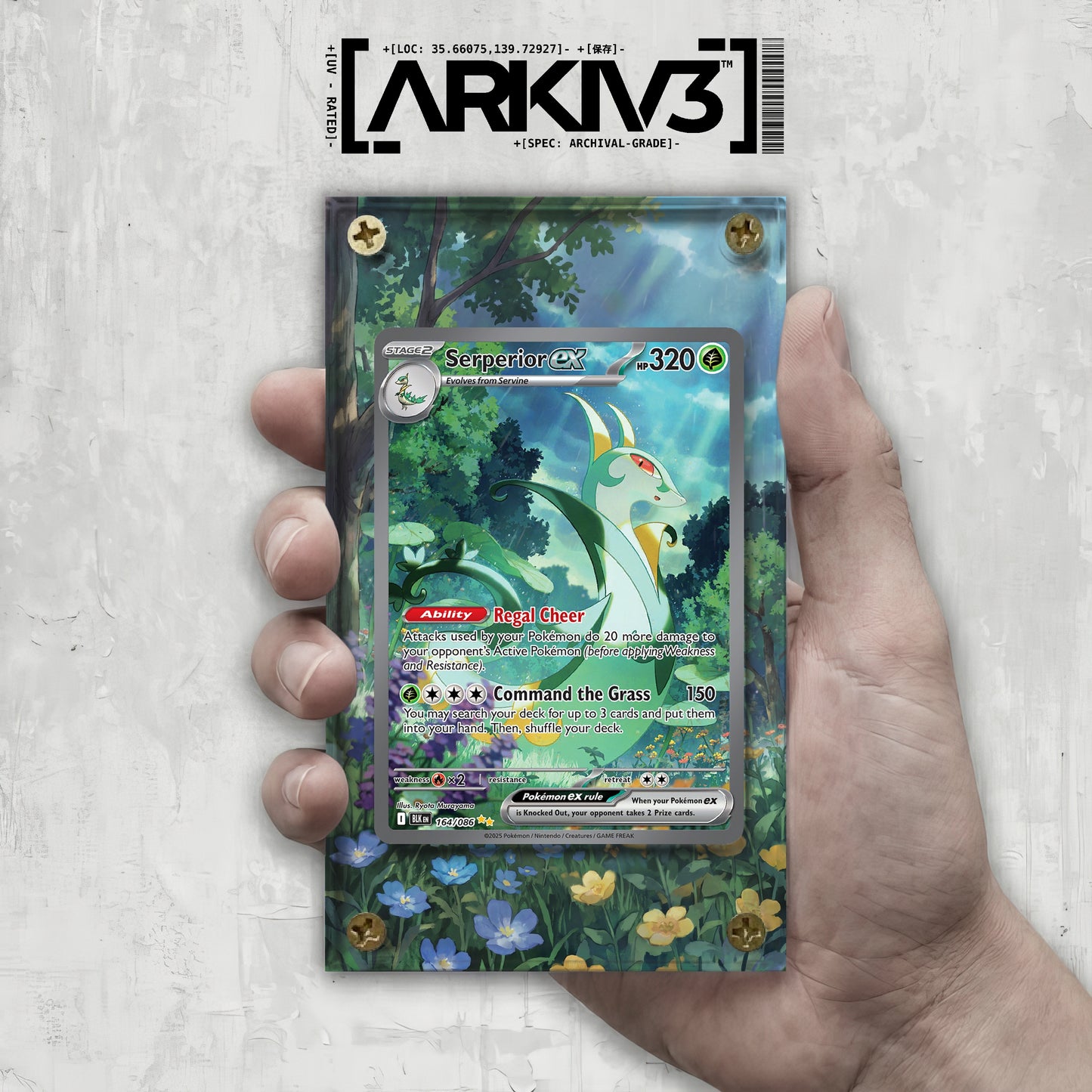 [UNIT: 164/86] // Serperior ex Extended Art Display Case - Raw