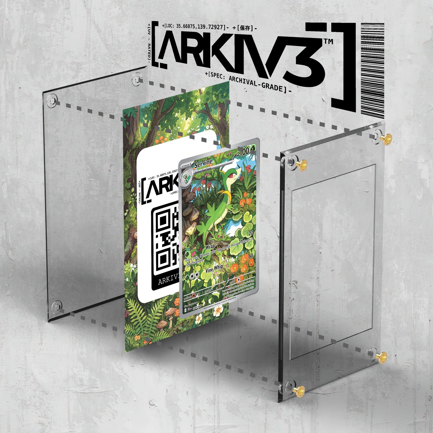 [UNIT: 88/86] // Servine Extended Art Display Case - Raw