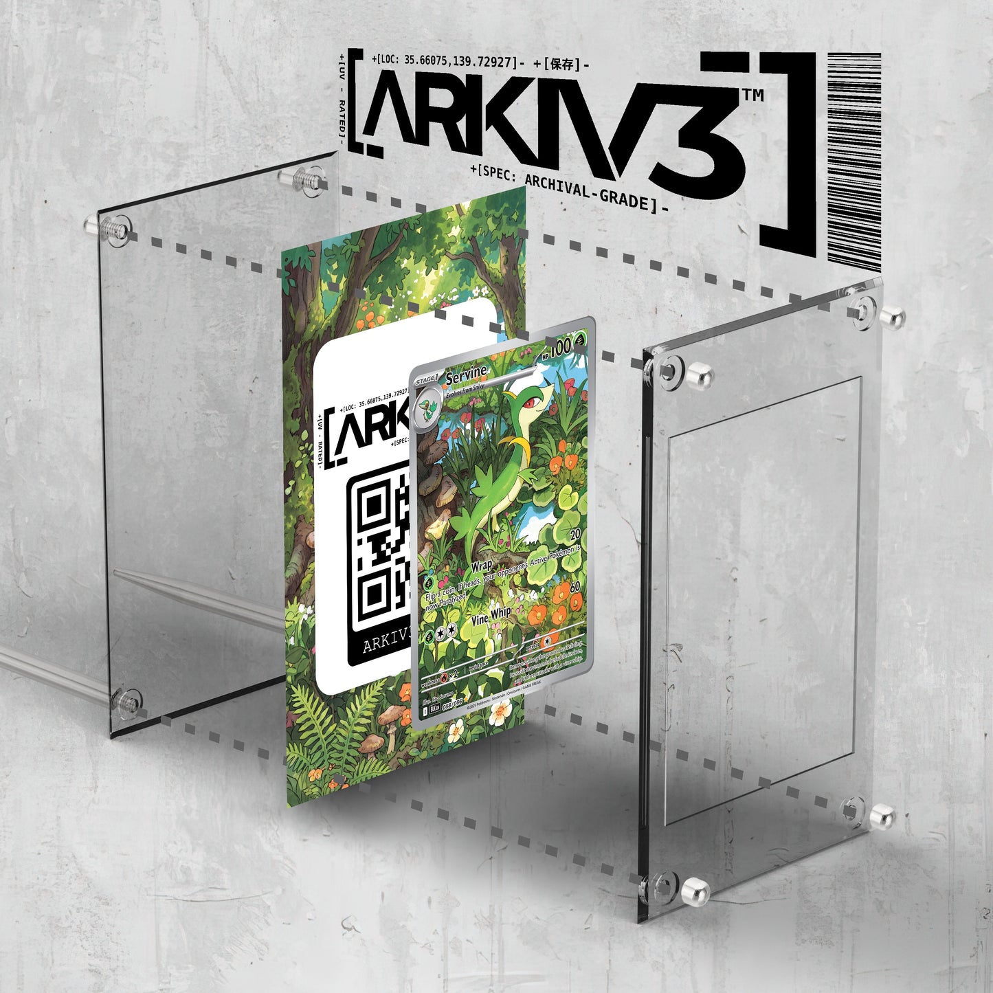 [UNIT: 88/86] // Servine Extended Art Display Case - Raw