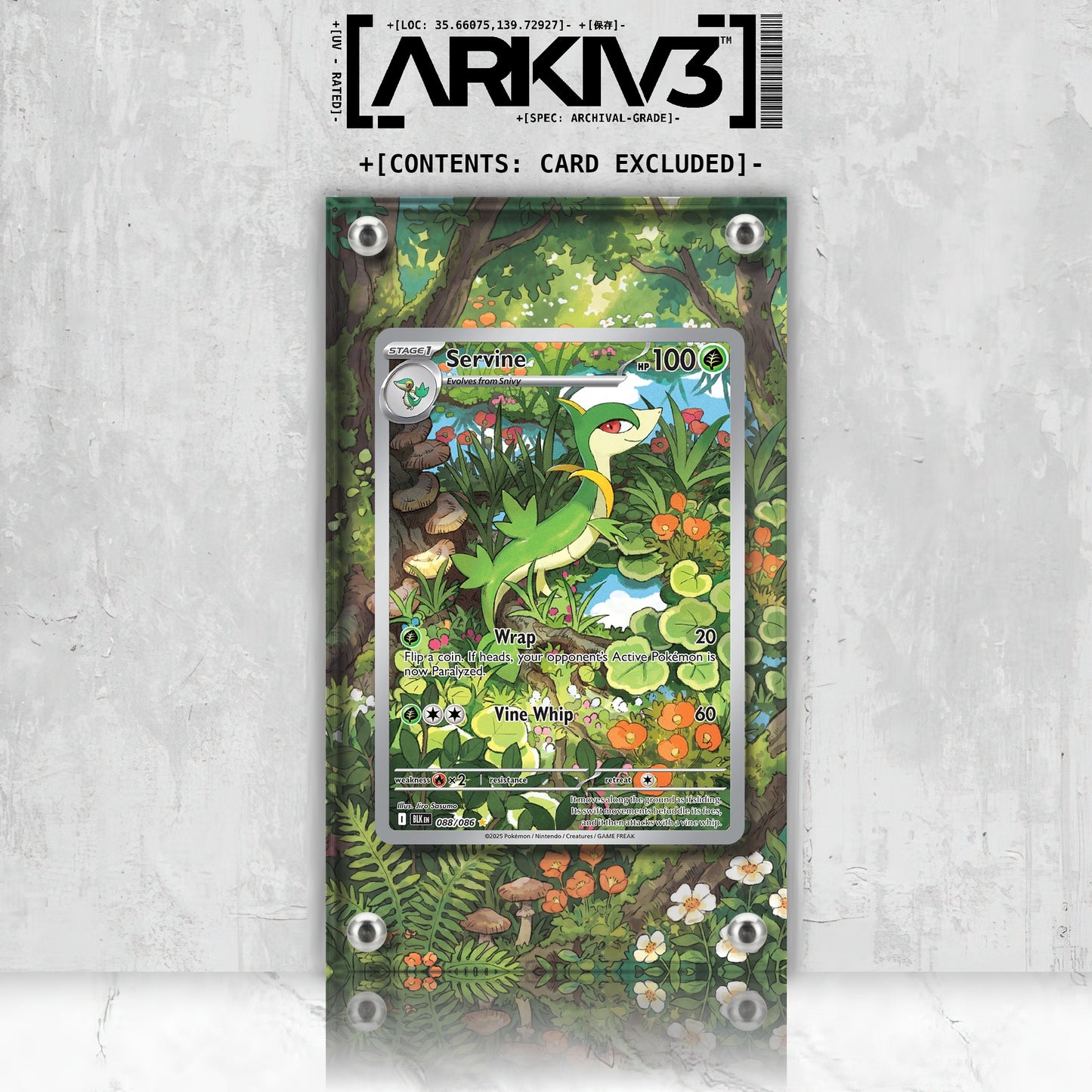 [UNIT: 88/86] // Servine Extended Art Display Case - Raw