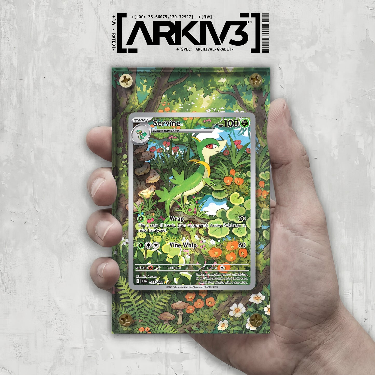 [UNIT: 88/86] // Servine Extended Art Display Case - Raw
