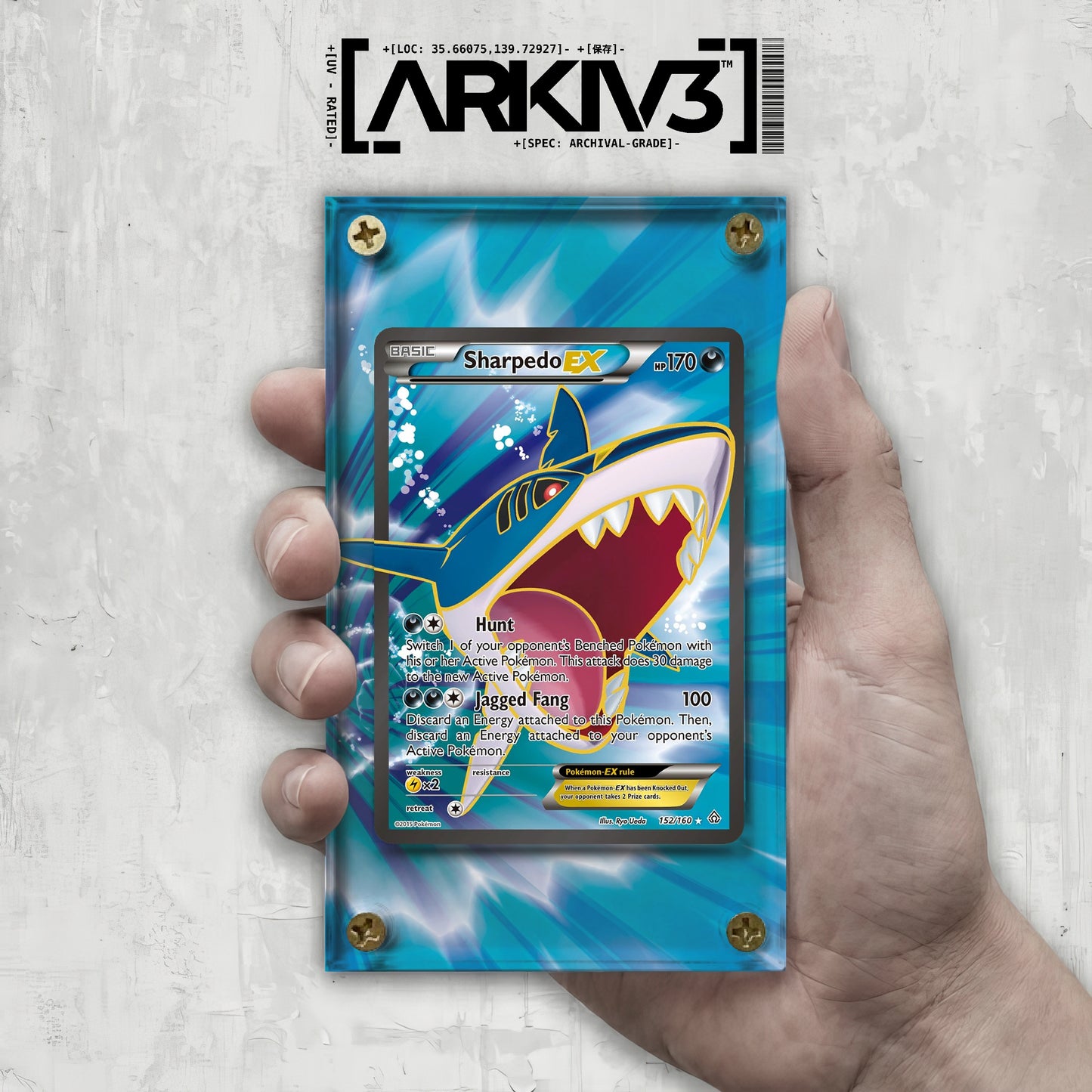 [UNIT: 152/160] // Sharpedo EX - Extended Art Display Case - Raw