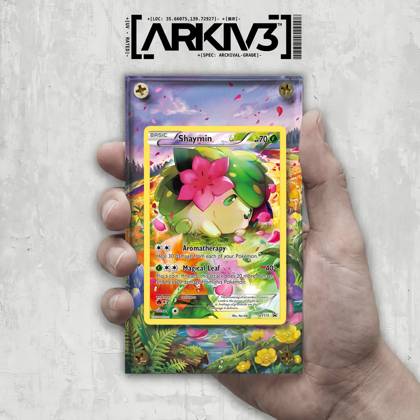 [UNIT: XY115/211] // Shaymin Extended Art Display Case - Raw
