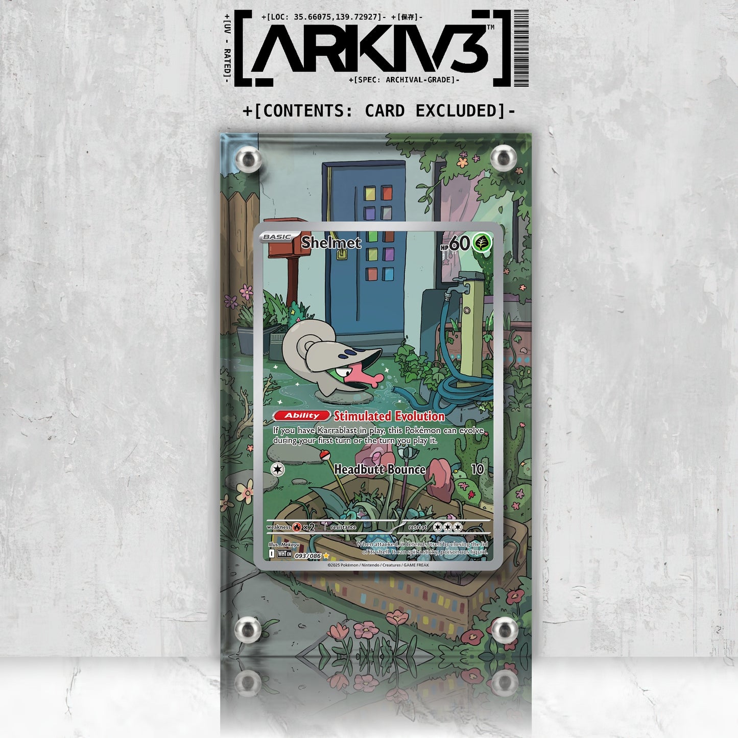 [UNIT: 93/86] // Shelmet Extended Art Display Case - Raw
