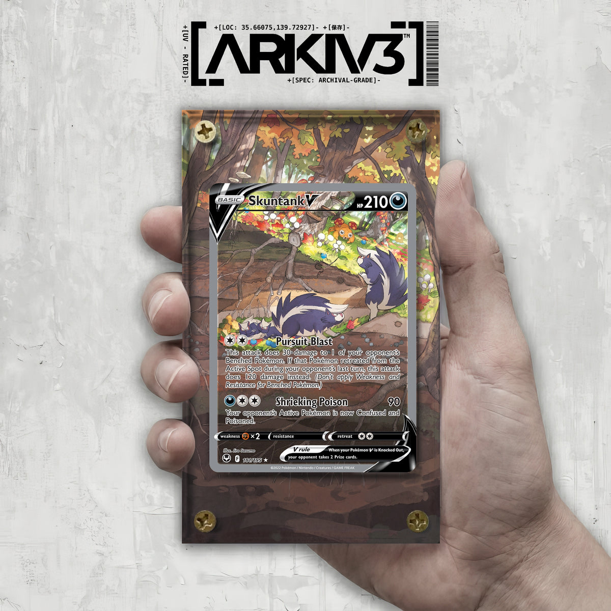 [UNIT: 181/195] // Skuntank V Extended Art Display Case - Raw