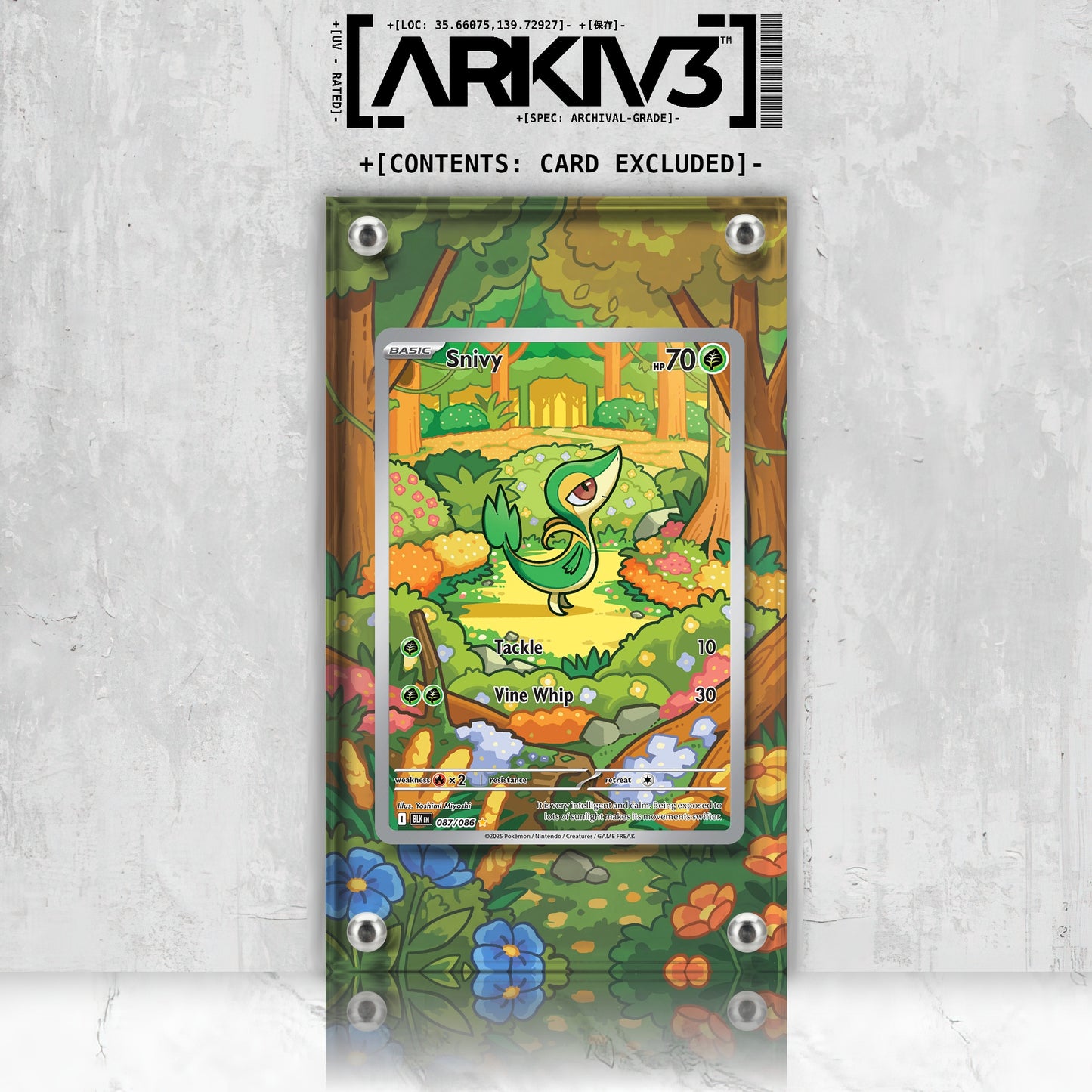 [UNIT: 87/86] // Snivy Extended Art Display Case - Raw