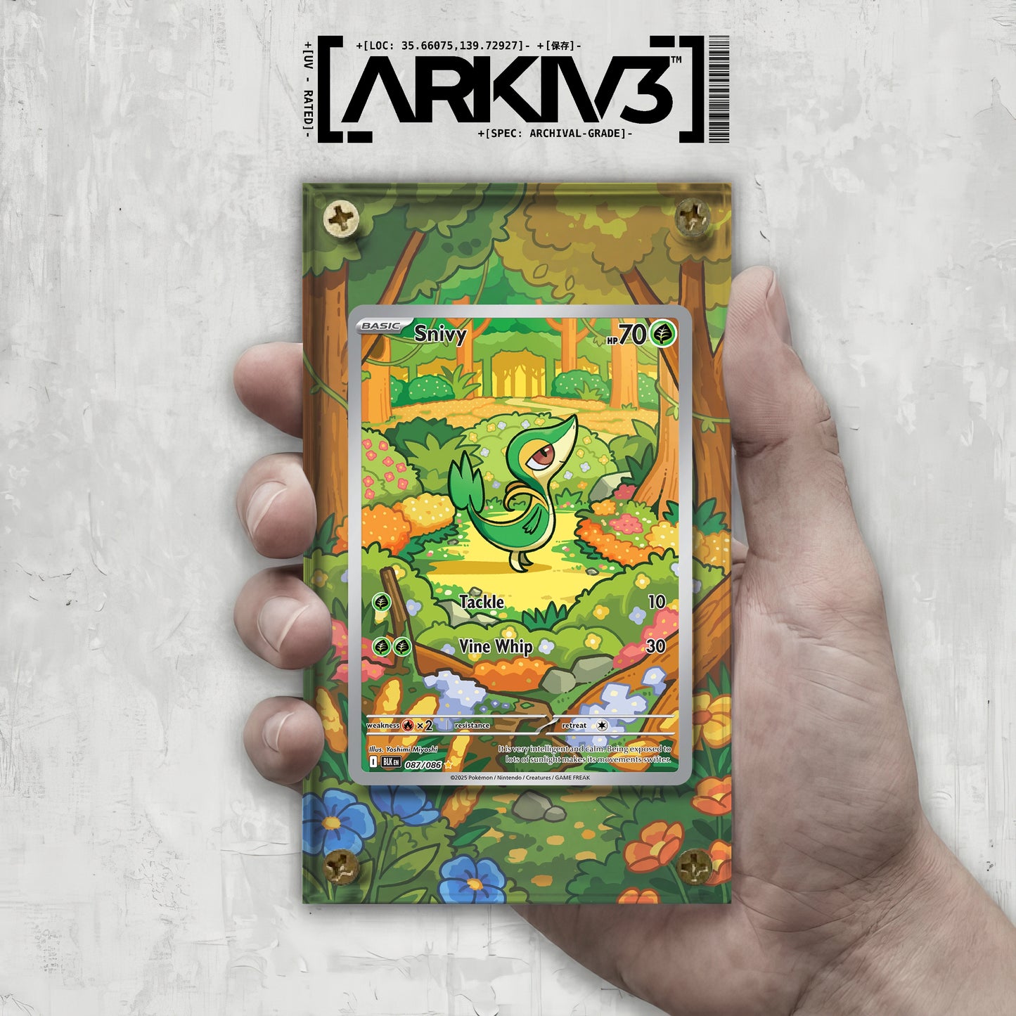 [UNIT: 87/86] // Snivy Extended Art Display Case - Raw