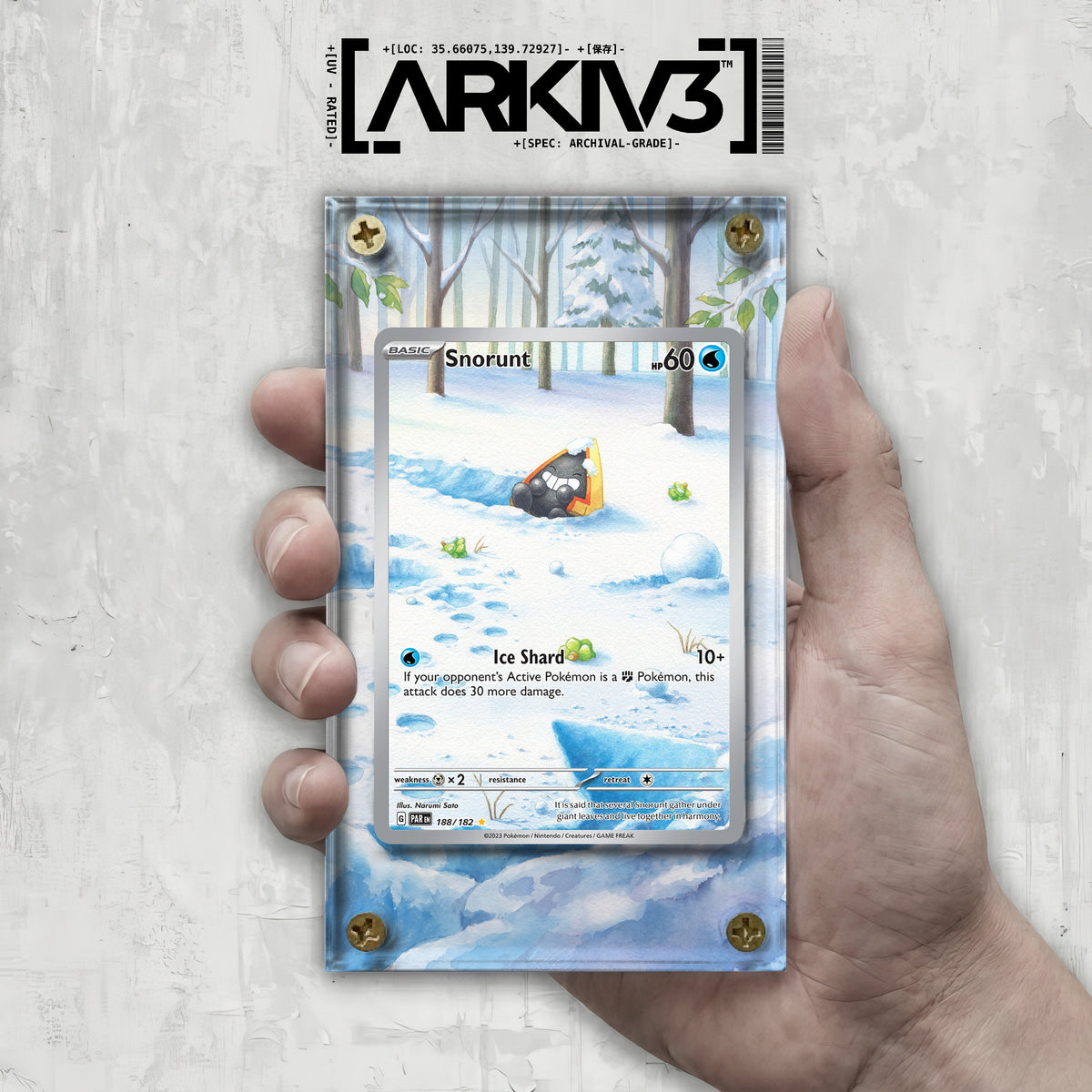 [UNIT: 188/182] // Snorunt Extended Art Display Case - Raw