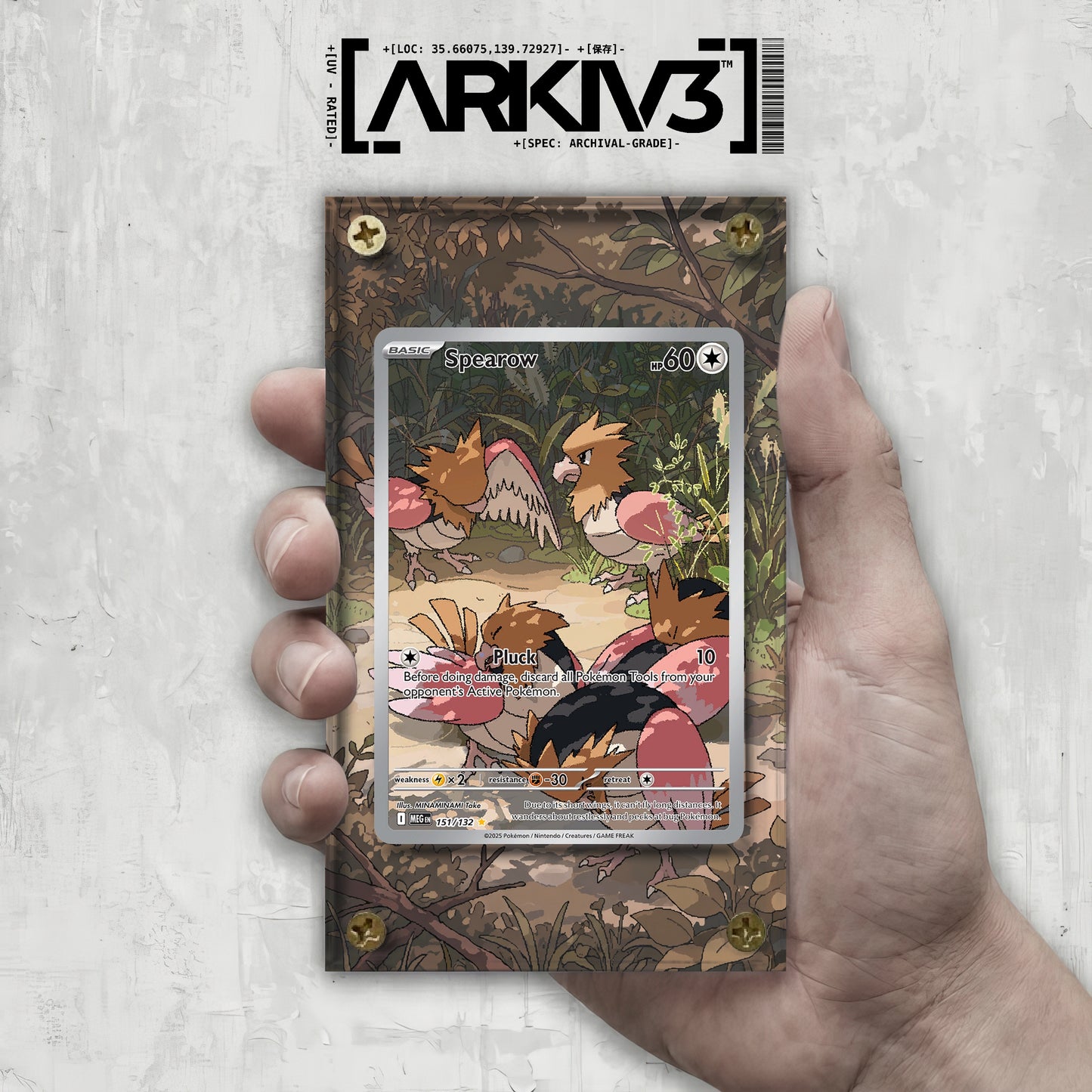 [UNIT: 151/132] // Spearow Extended Art Display Case - Raw