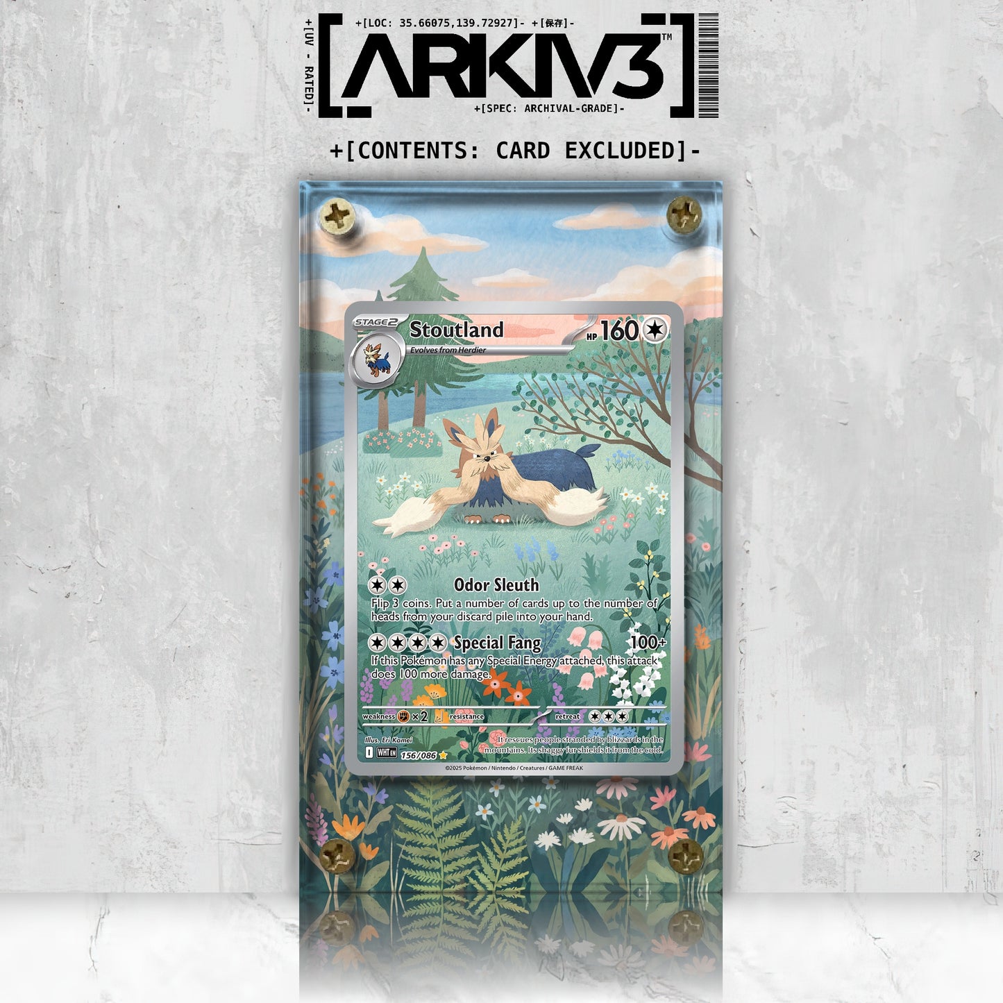 [UNIT: 156/86] // Stoutland Extended Art Display Case - Raw