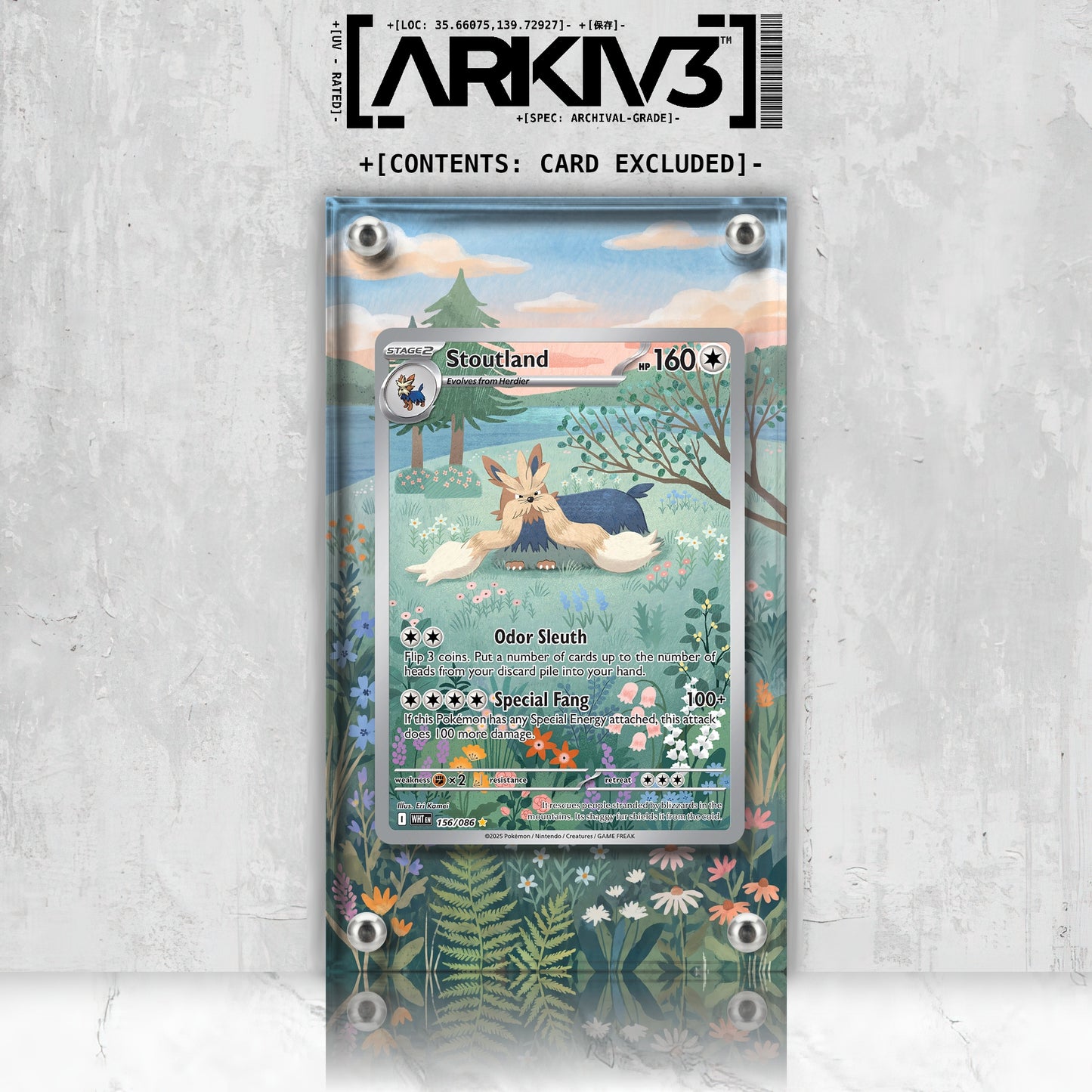 [UNIT: 156/86] // Stoutland Extended Art Display Case - Raw